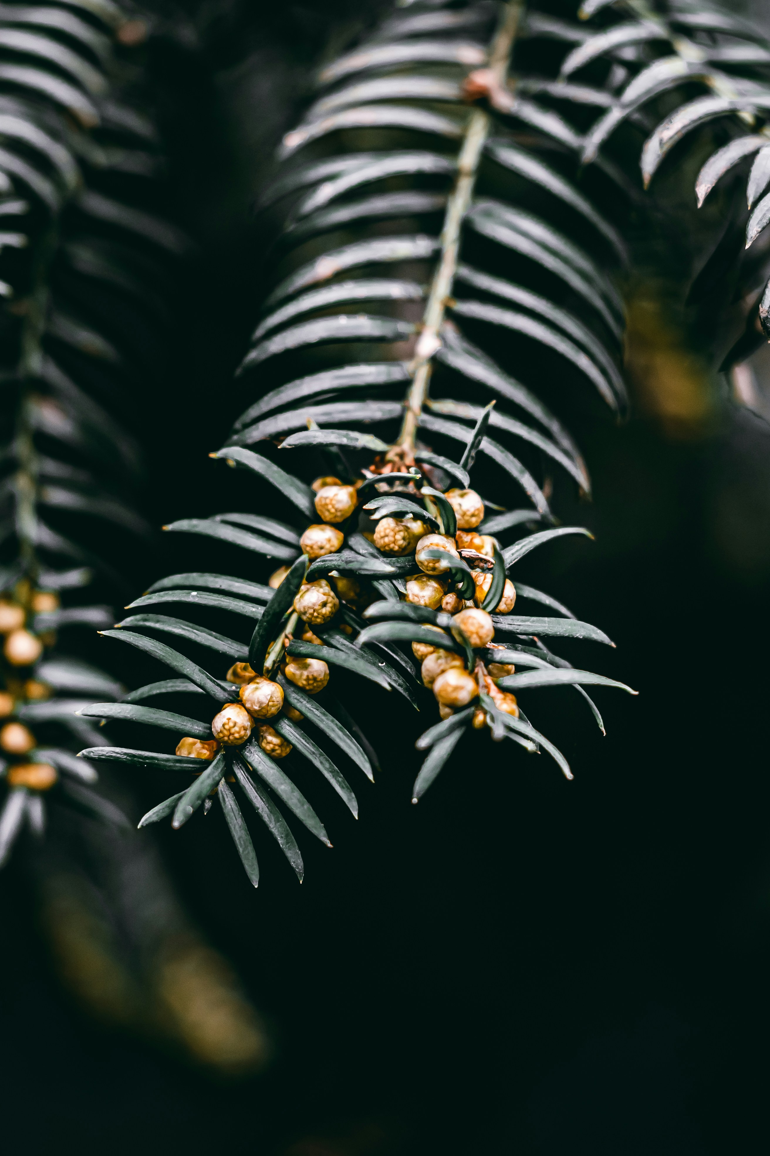 Photo by wojtekpaczes