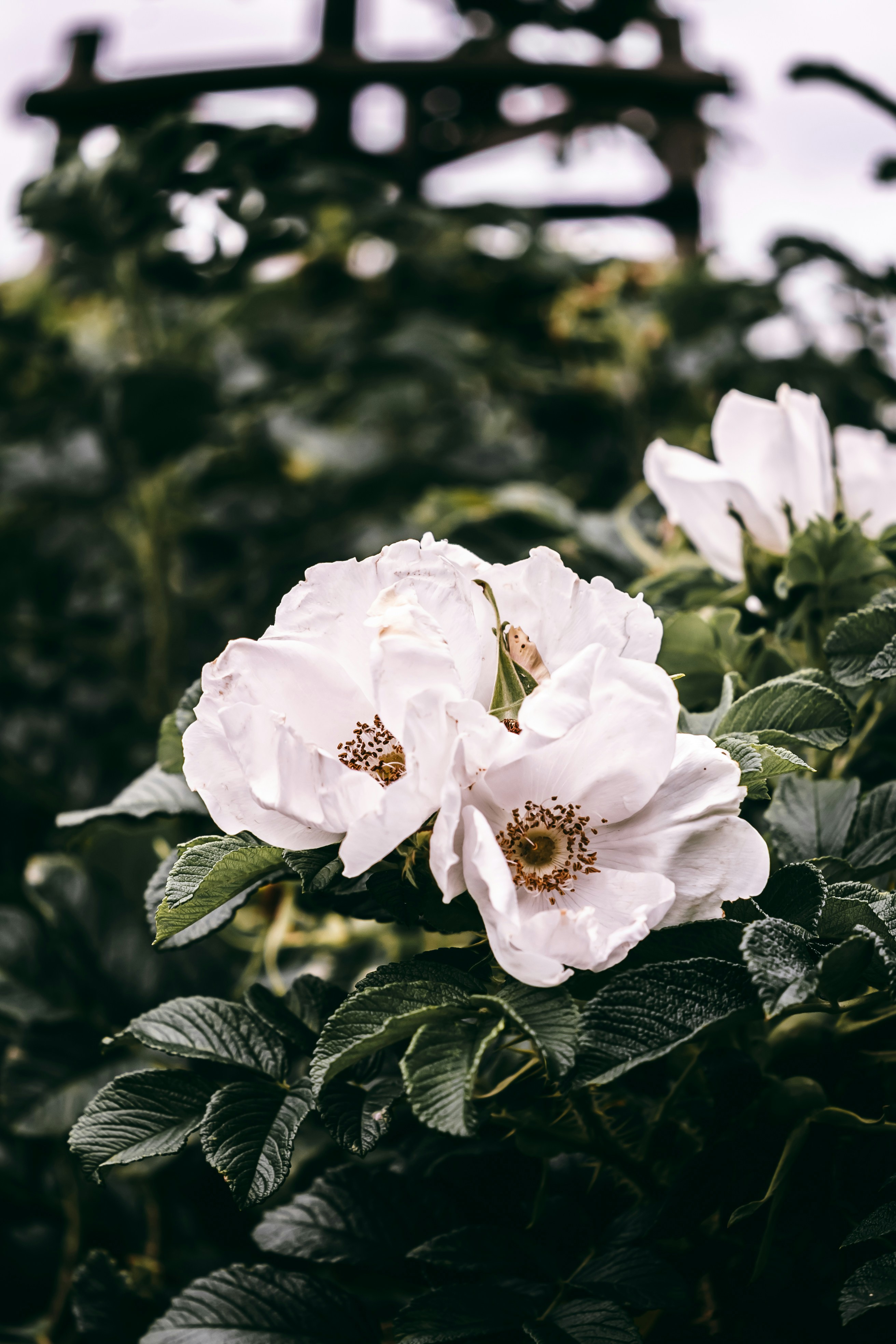 Photo by wojtekpaczes