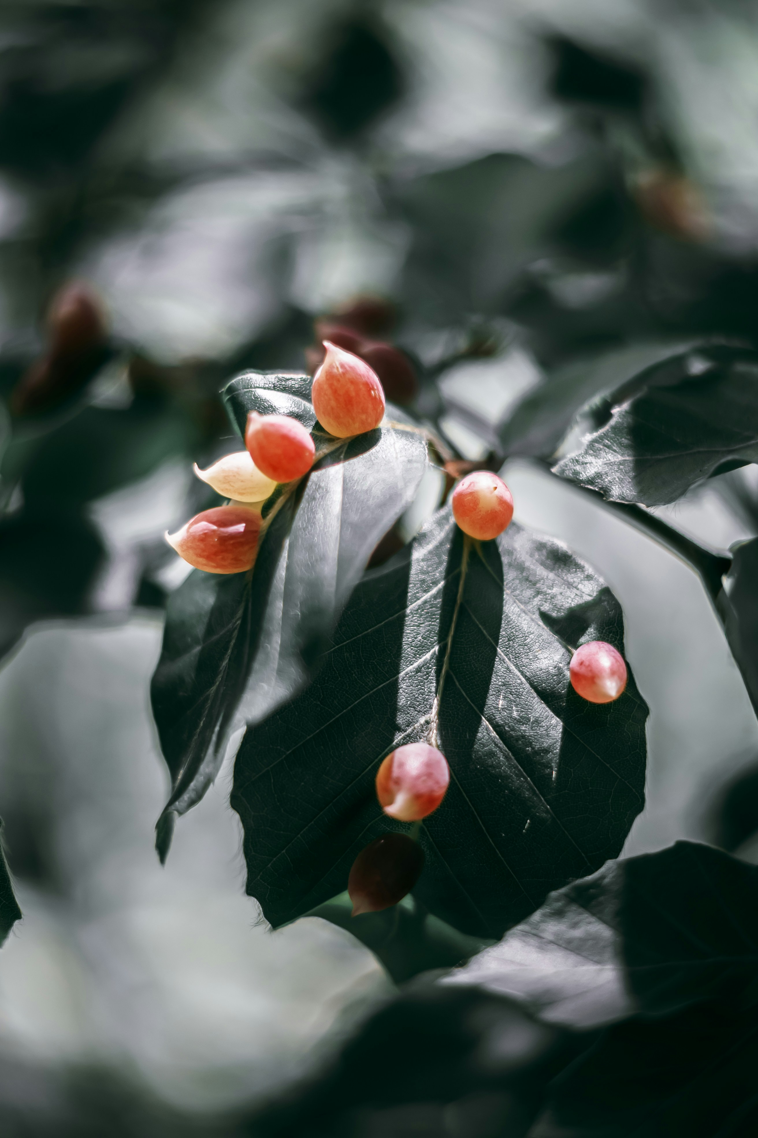 Photo by wojtekpaczes