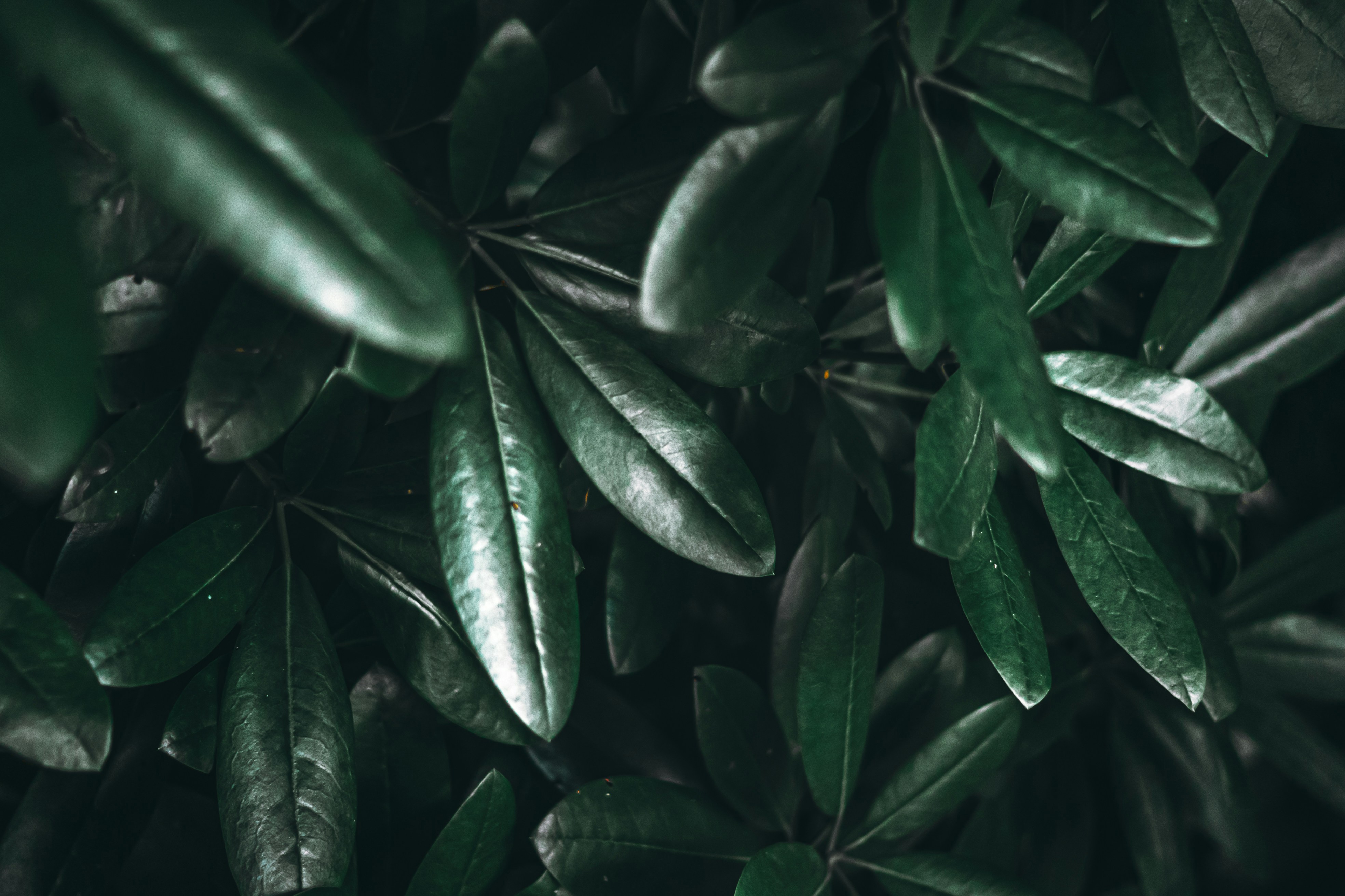 Photo by wojtekpaczes