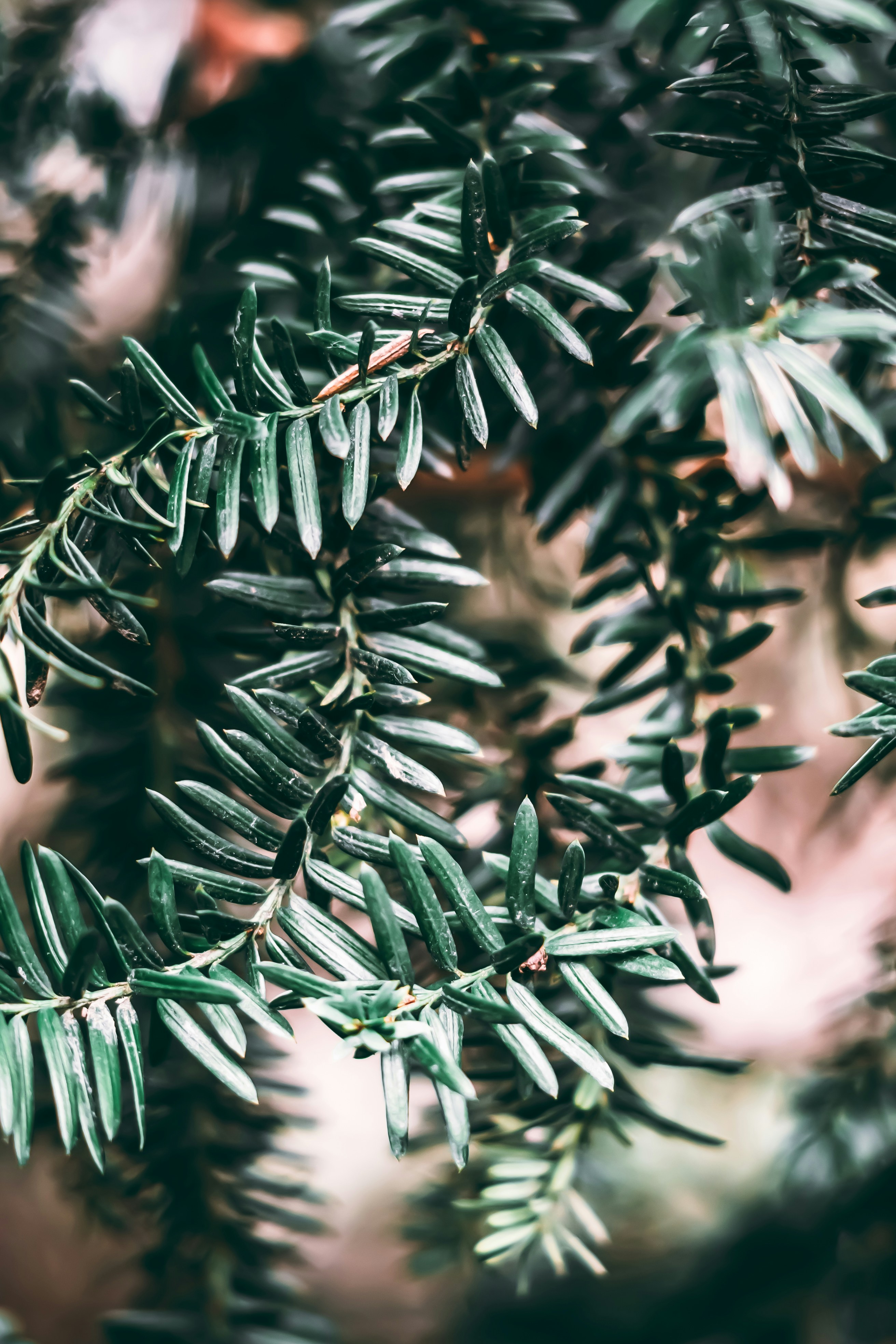 Photo by wojtekpaczes