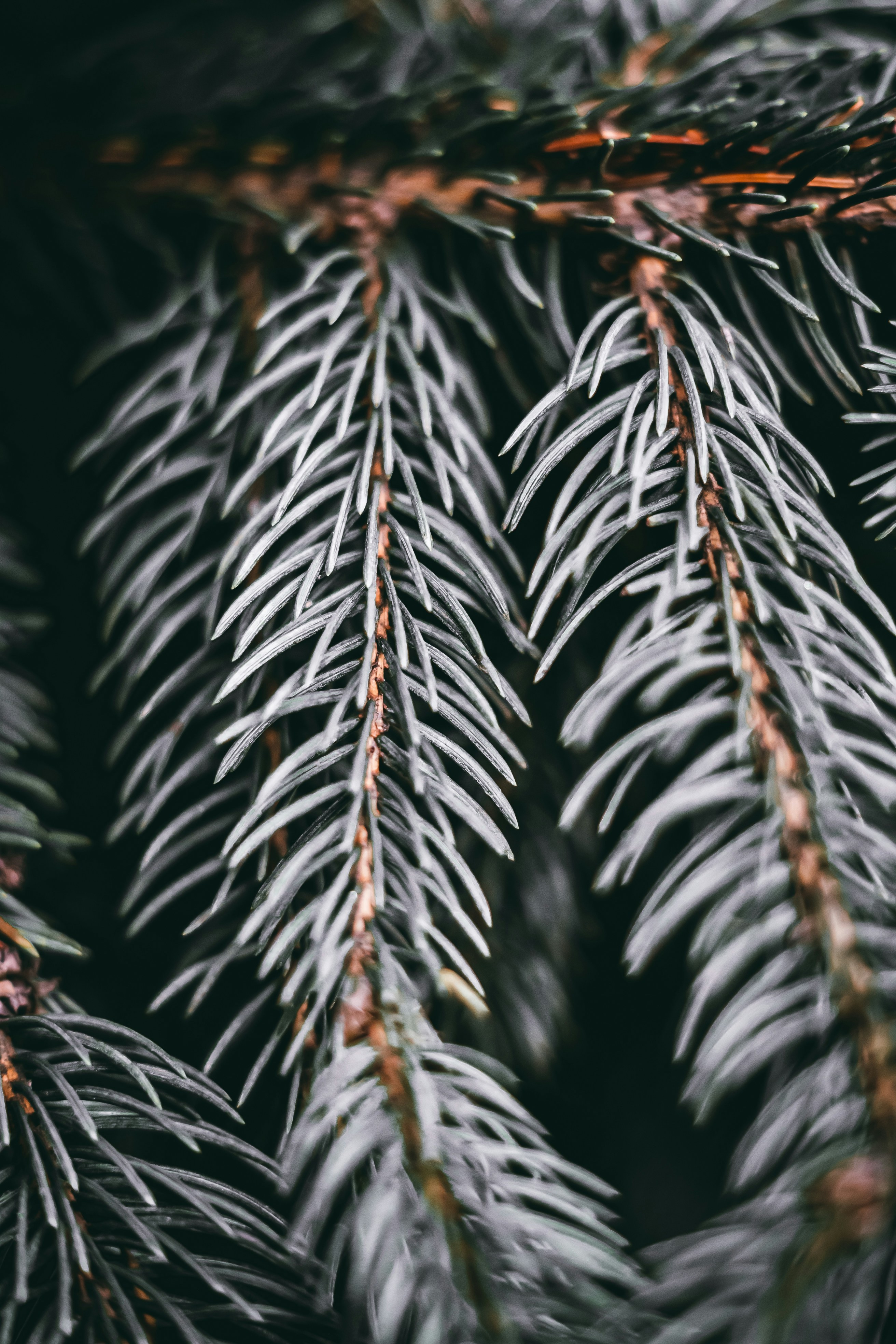 Photo by wojtekpaczes