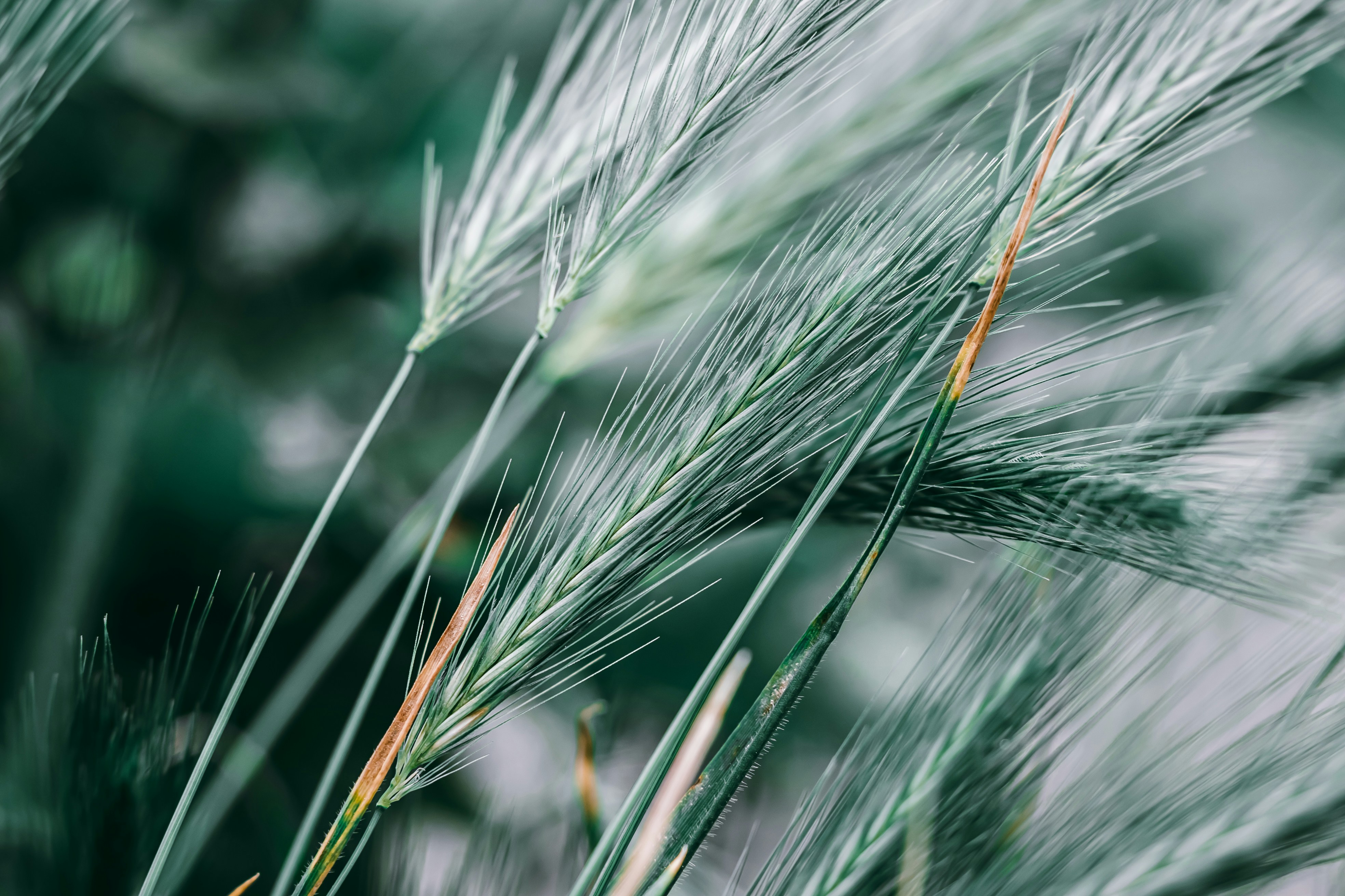 Photo by wojtekpaczes