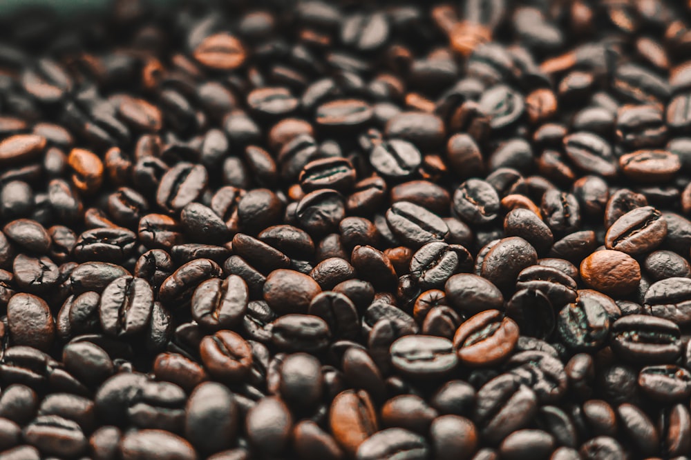 a pile of coffee beans sitting next to each other