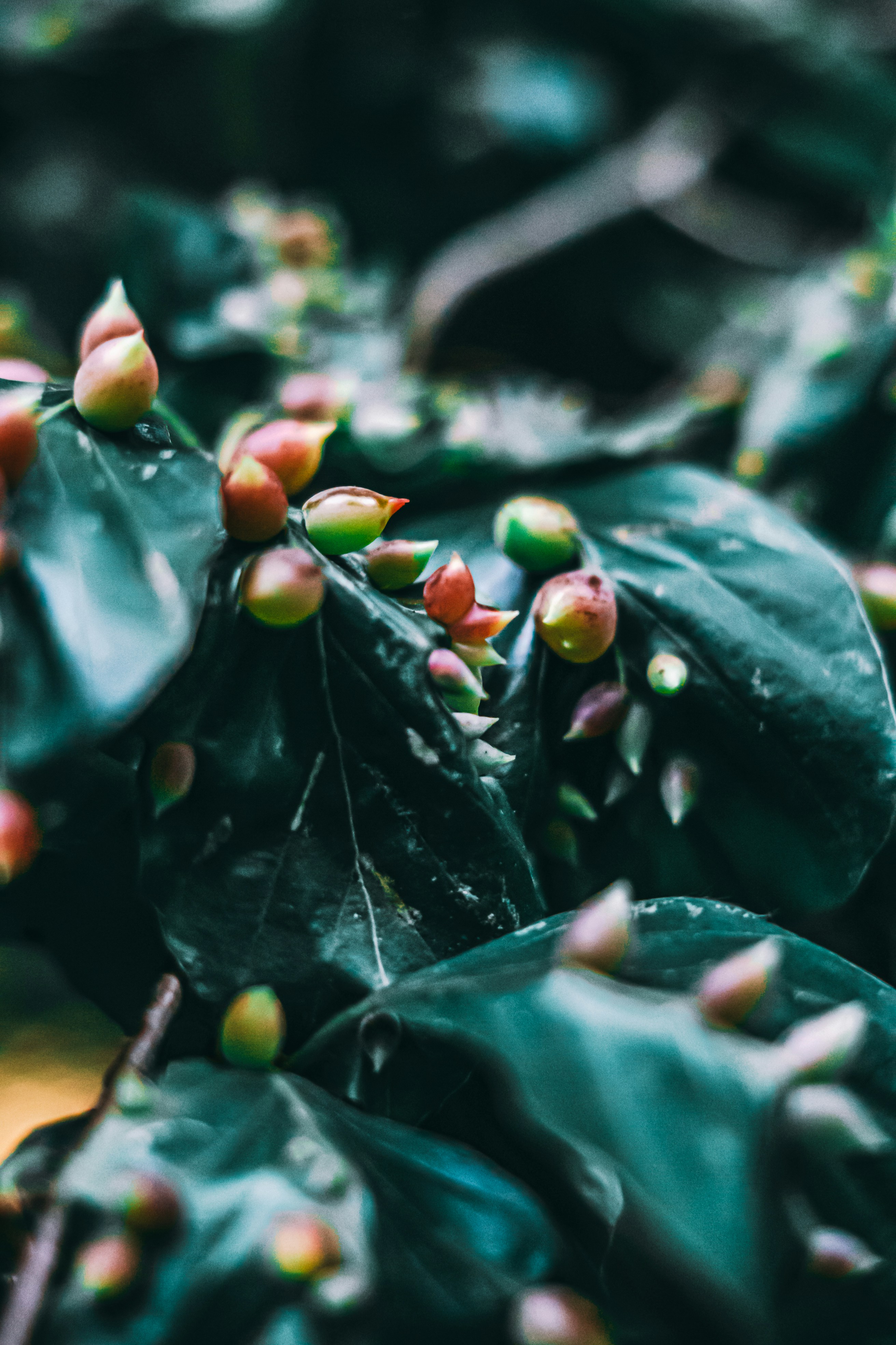 Photo by wojtekpaczes