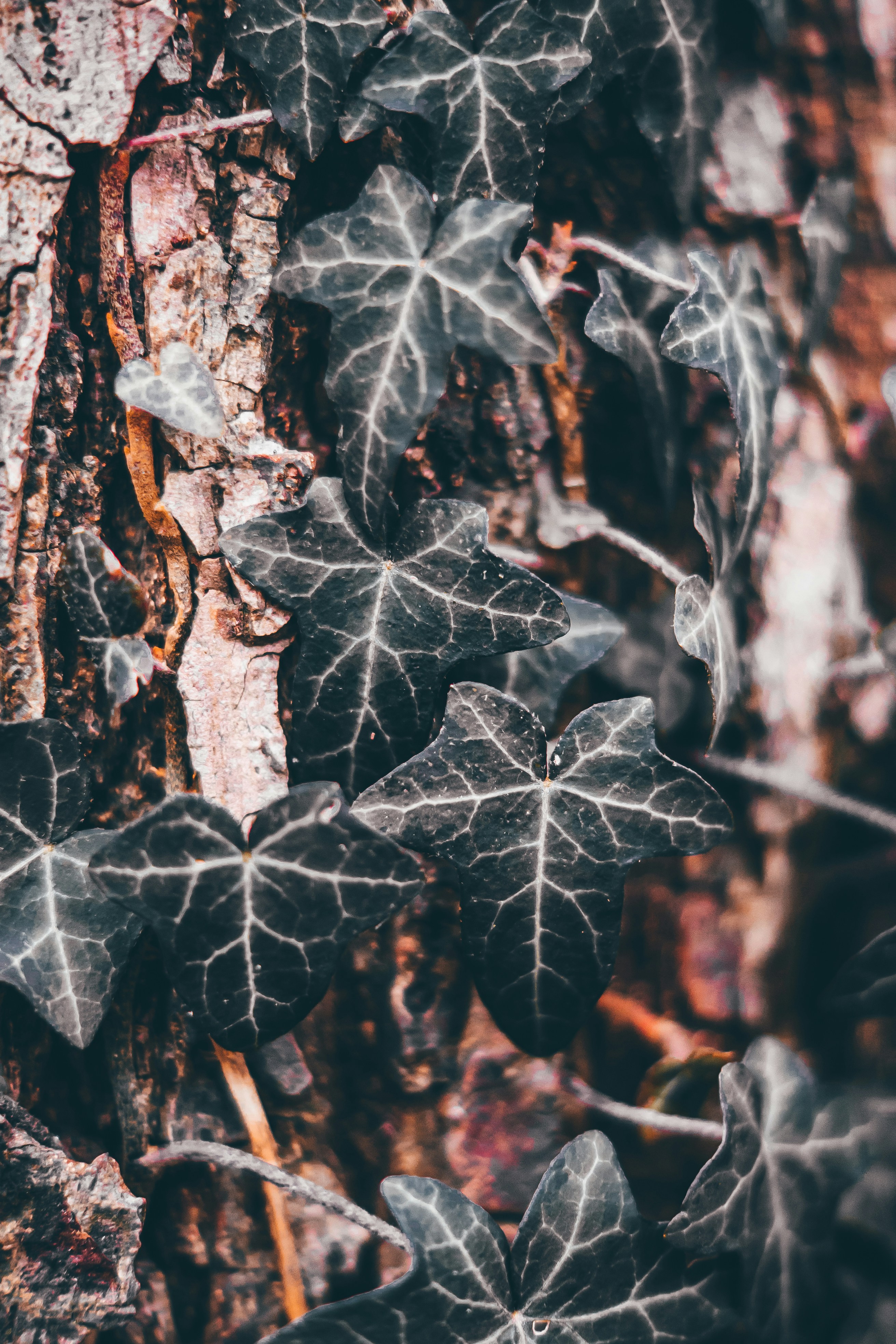 Photo by wojtekpaczes