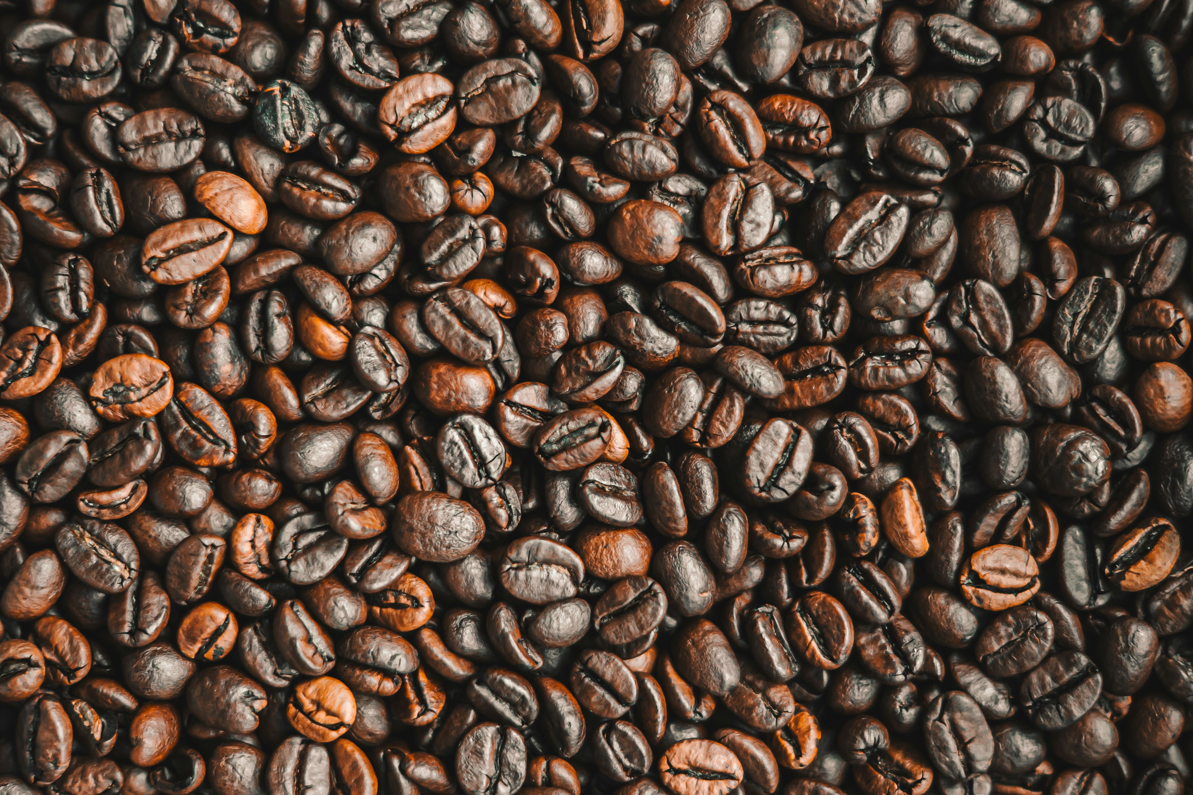 a close up of coffee beans