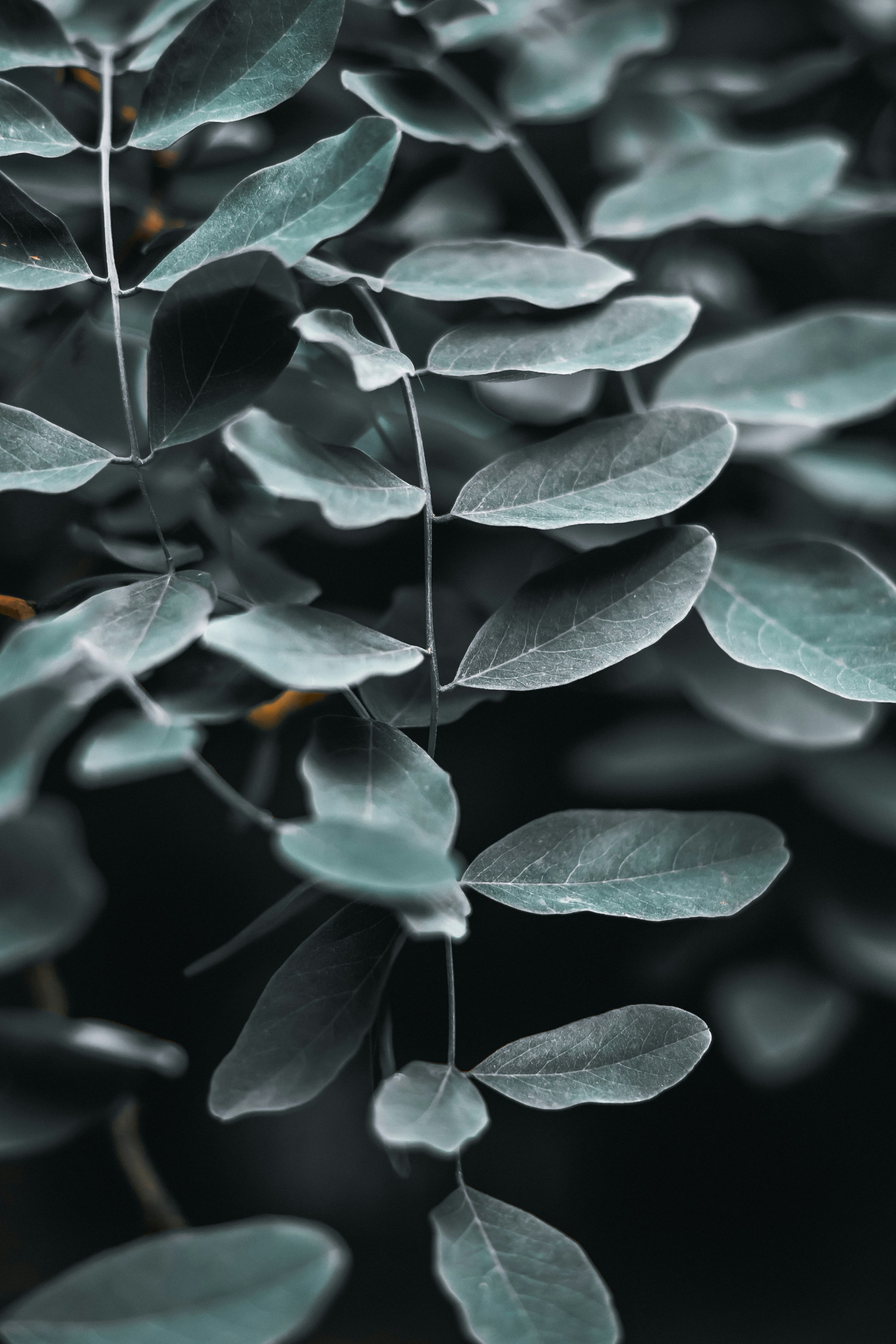 Photo by wojtekpaczes