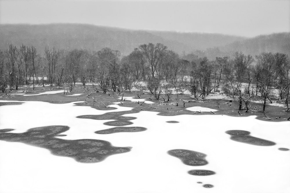 a black and white photo of a golf course in the snow