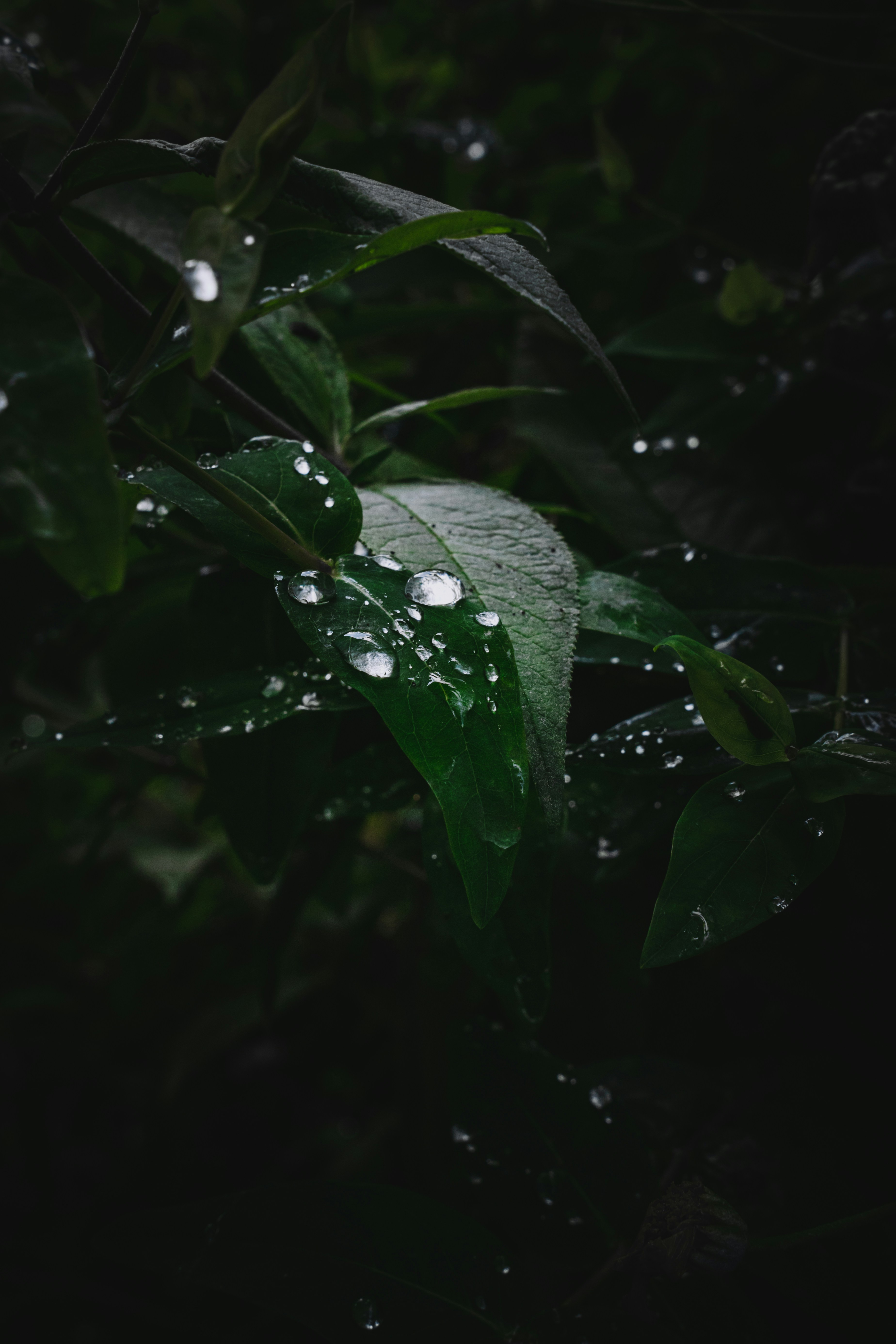 Photo by winstontjia