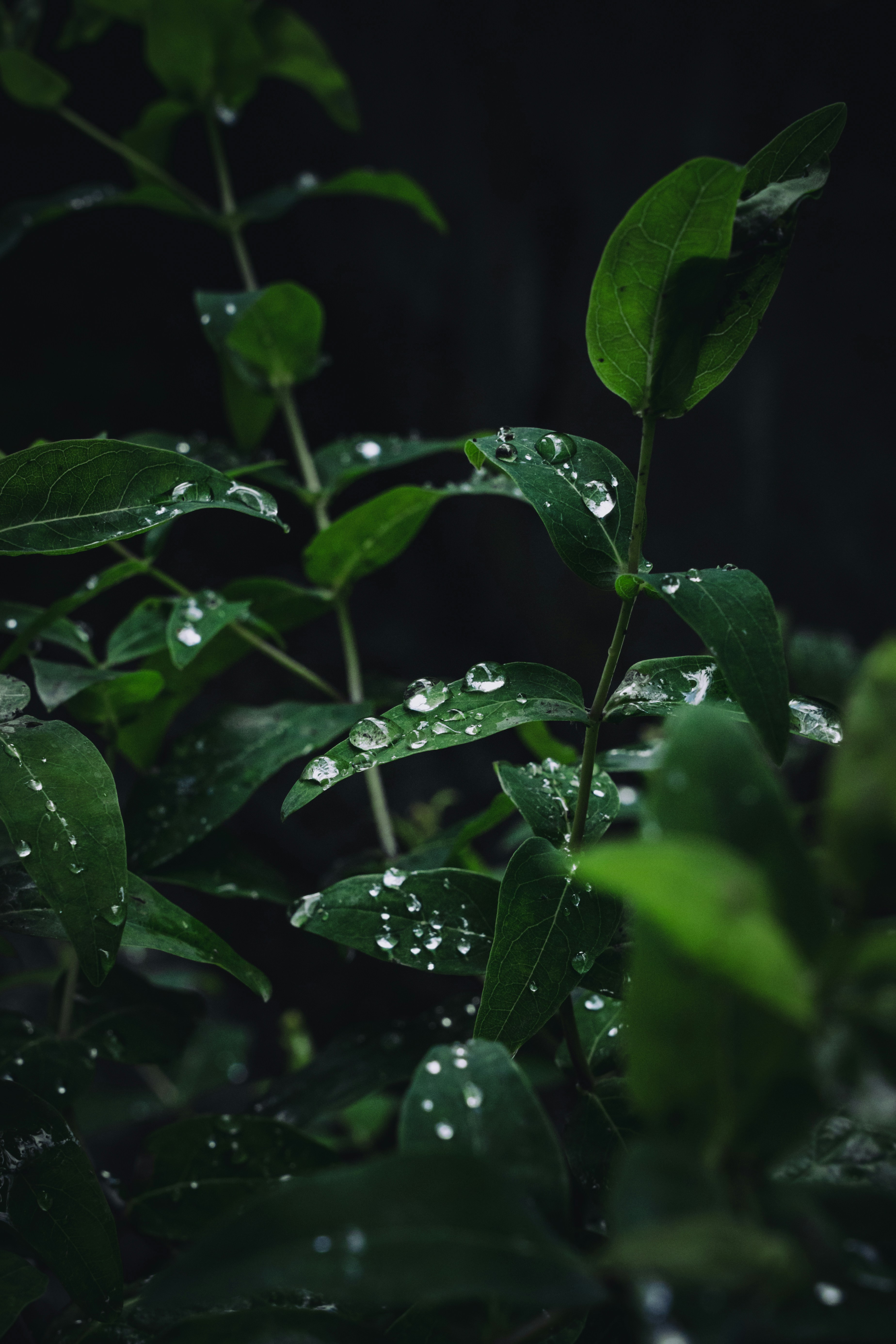 Photo by winstontjia