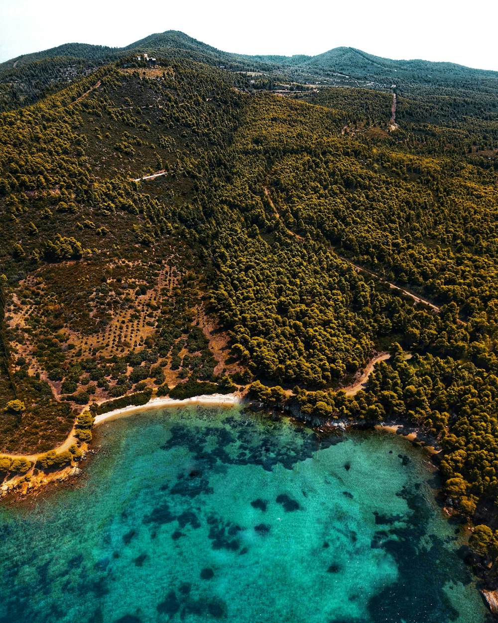 a bird's eye view of the ocean and land