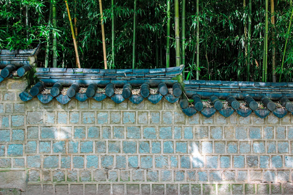 a stone wall with a row of bamboo trees in the background
