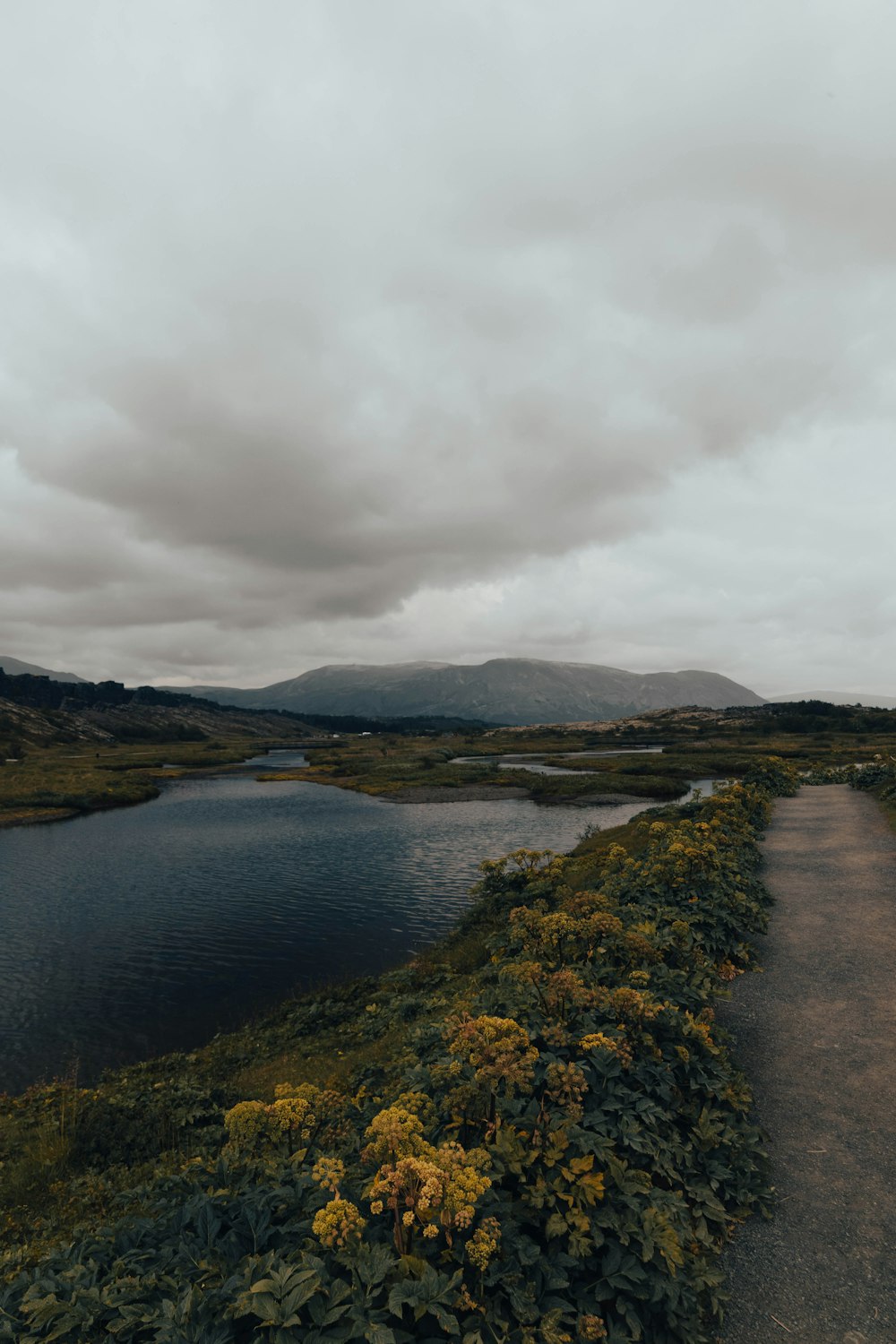 a path leading to a body of water under a cloudy sky