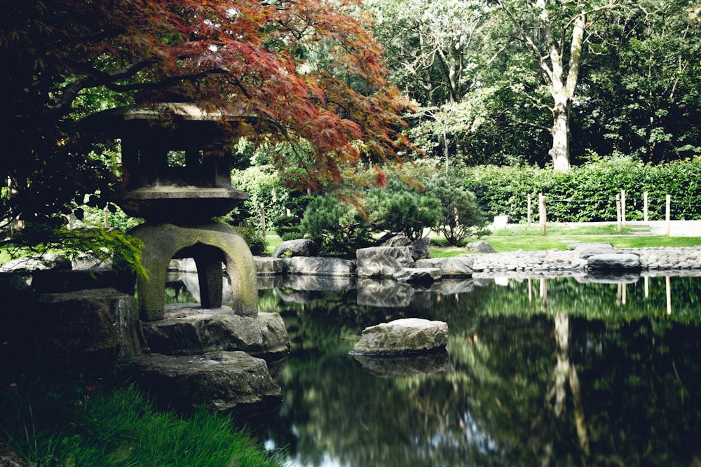 uma pequena lagoa cercada por pedras e árvores
