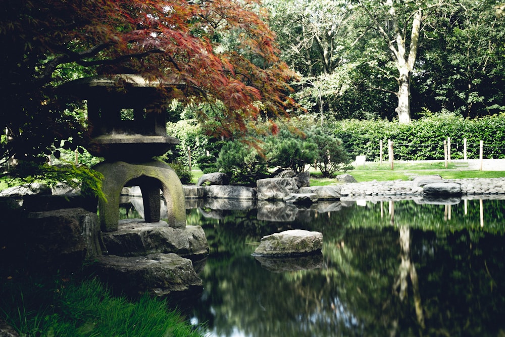 a small pond surrounded by rocks and trees