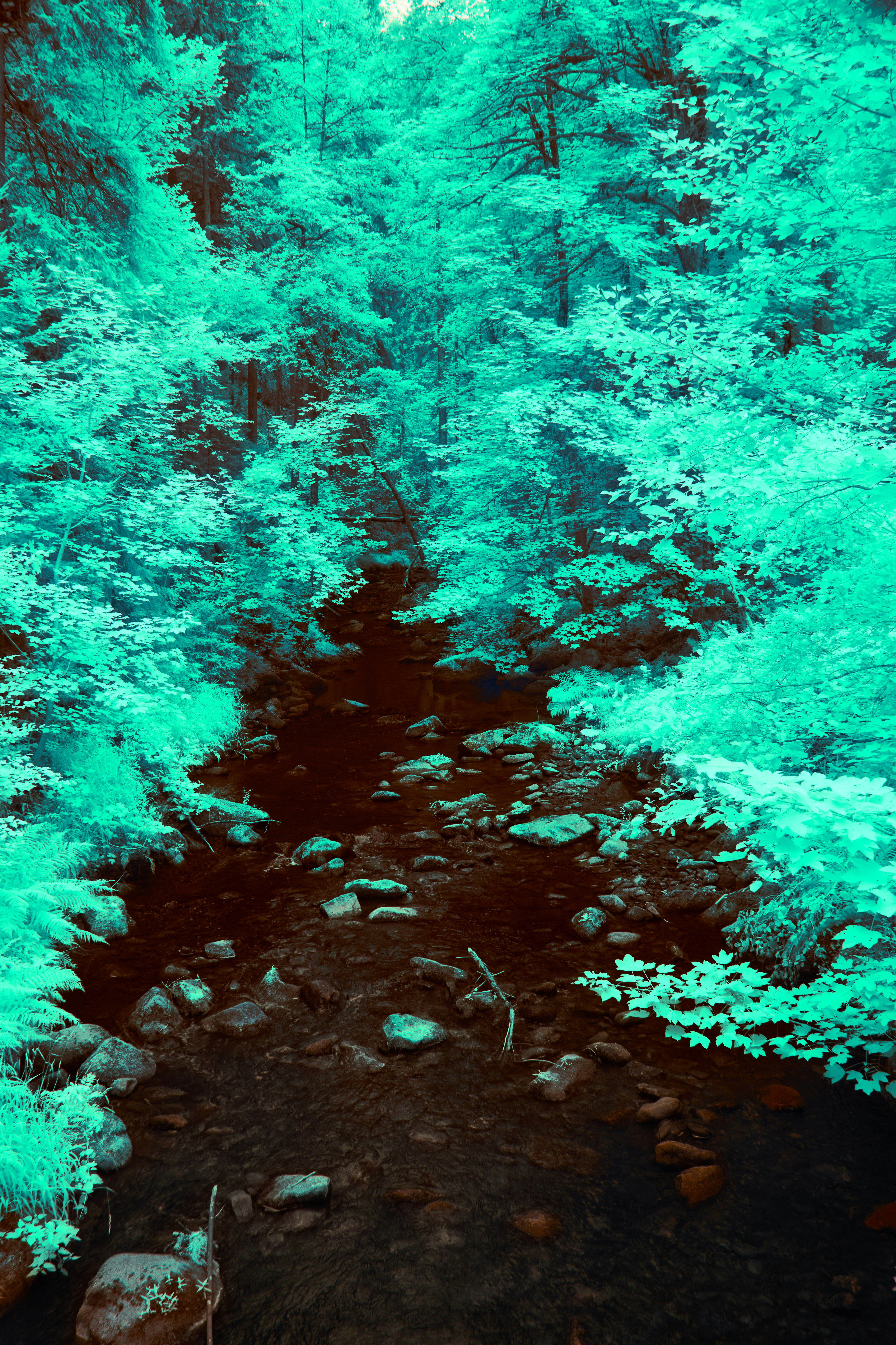 Photo by wolfgang_hasselmann