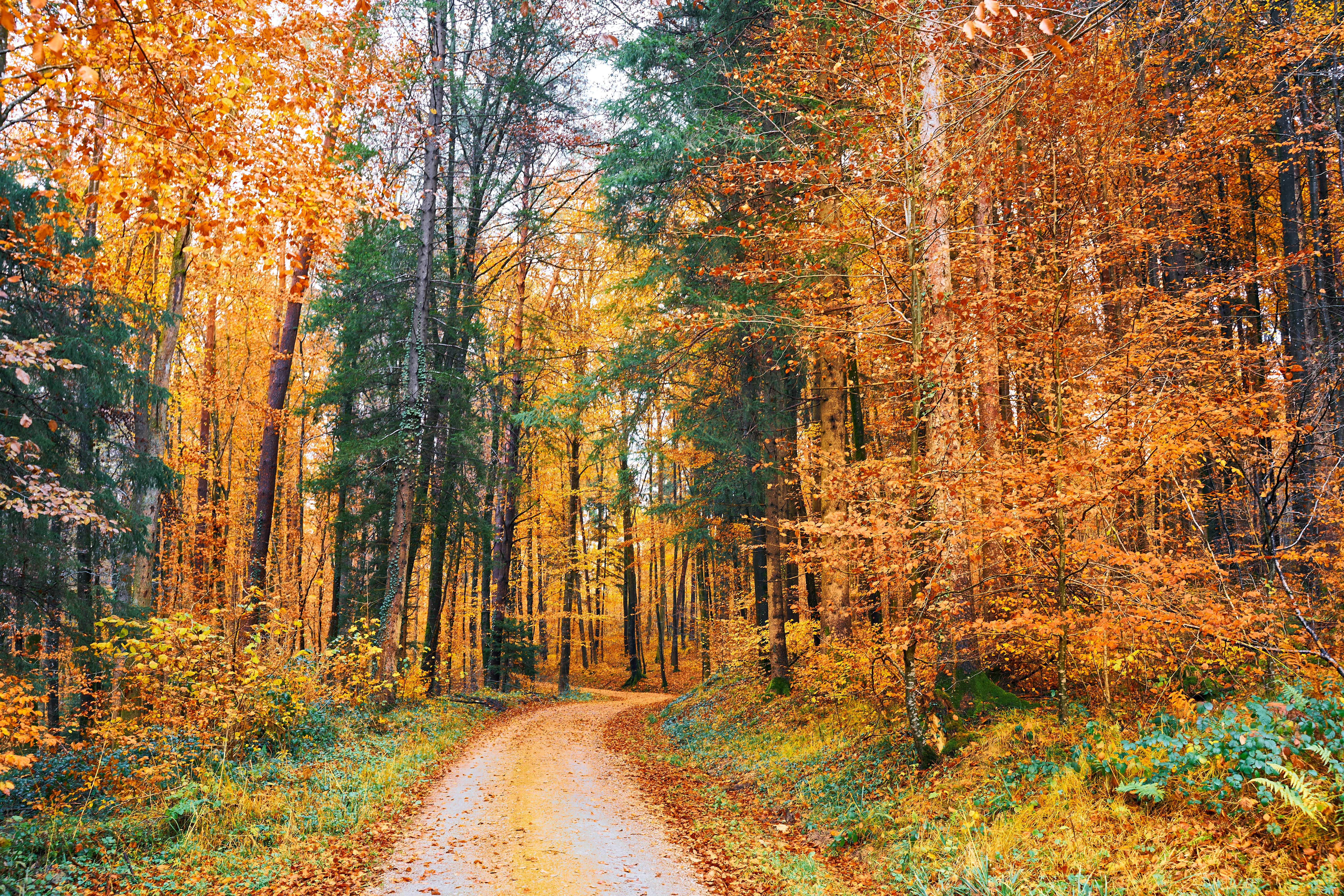 Photo by wolfgang_hasselmann