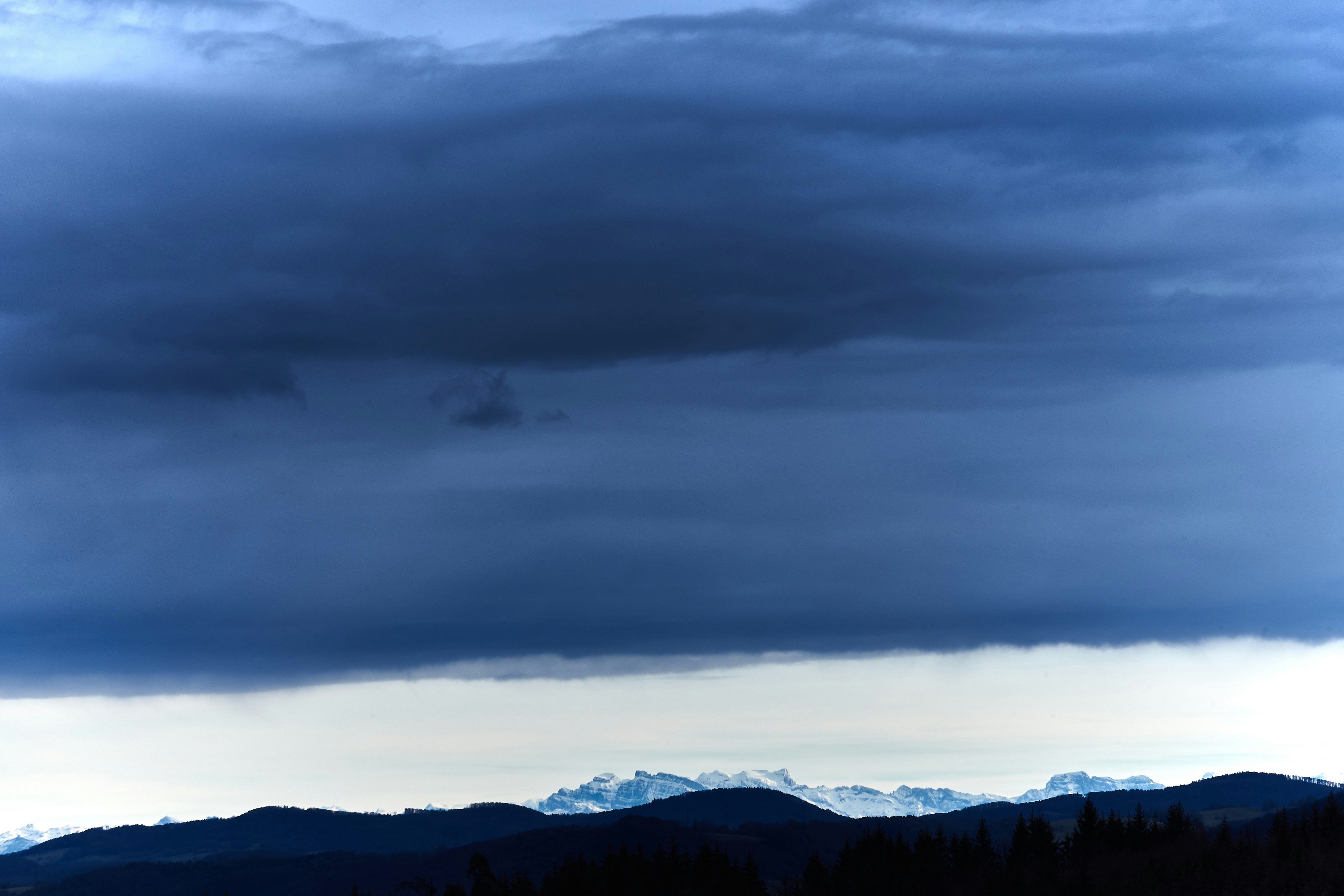 Photo by wolfgang_hasselmann