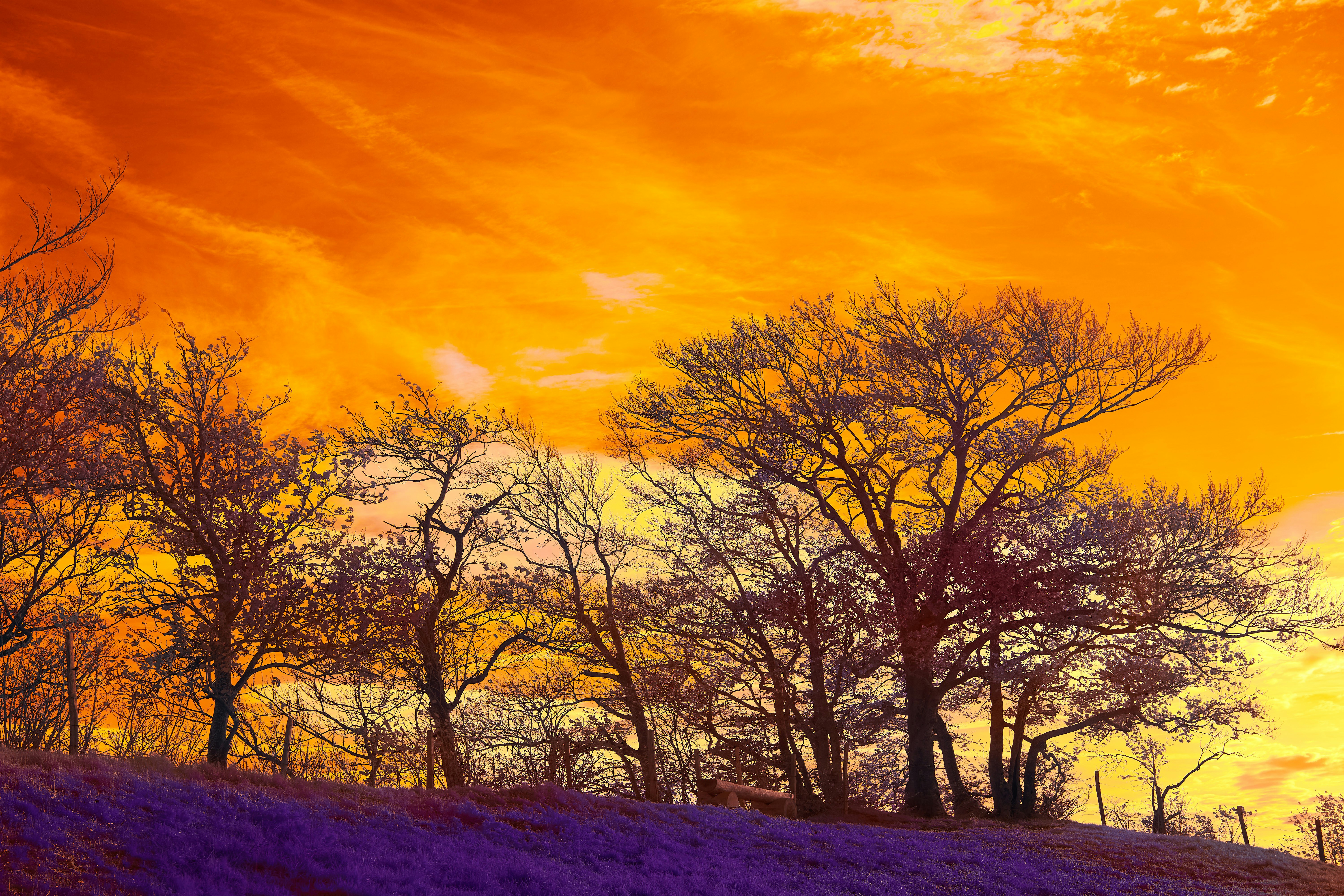 Photo by wolfgang_hasselmann