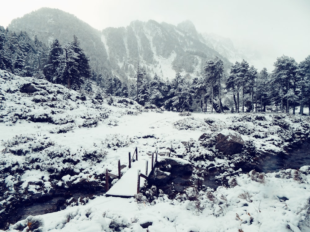 a snow covered mountain with a small bridge