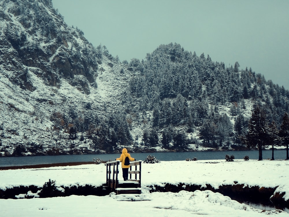 a person standing on a dock in the snow