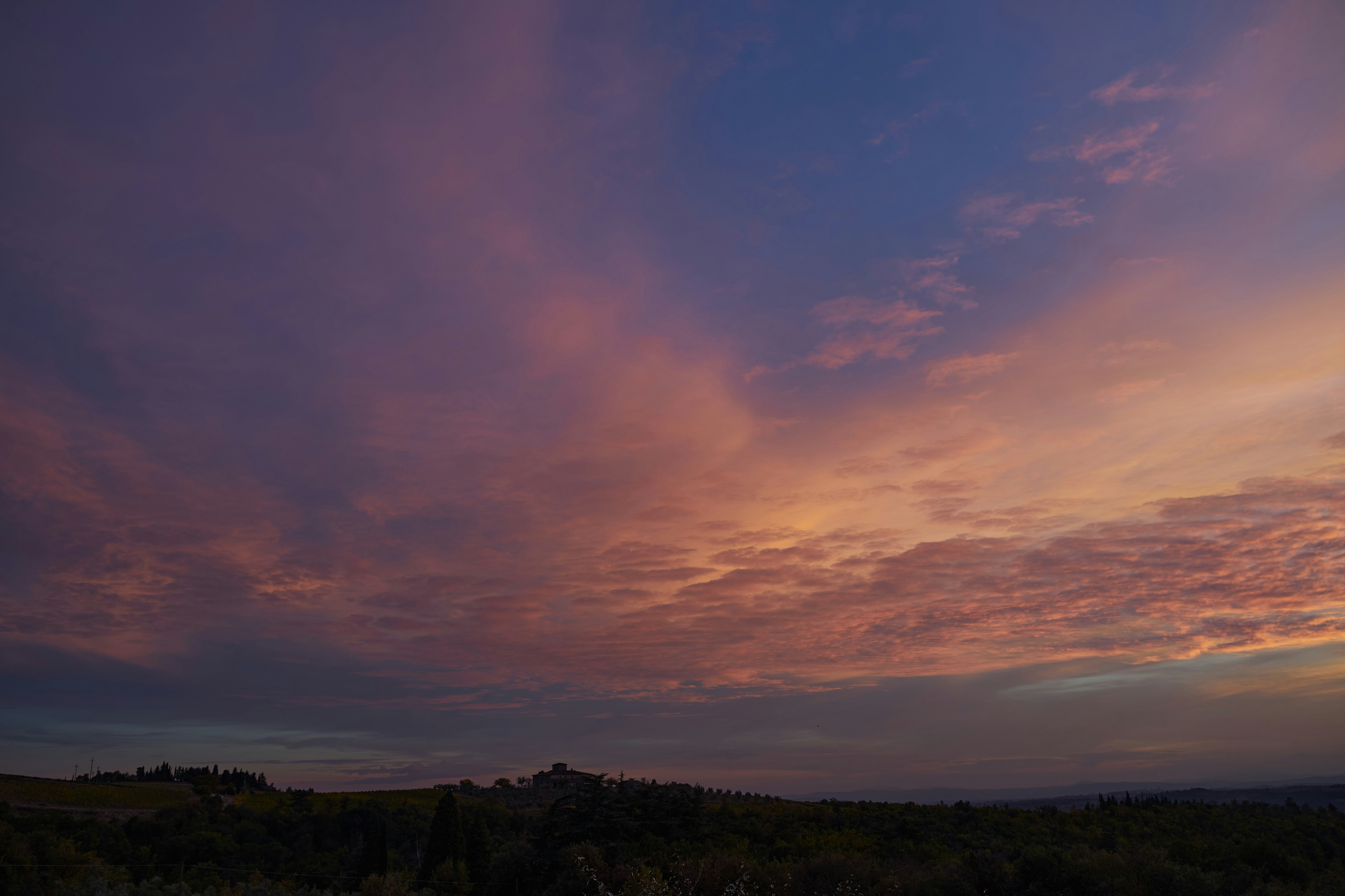 Photo by wolfgang_hasselmann