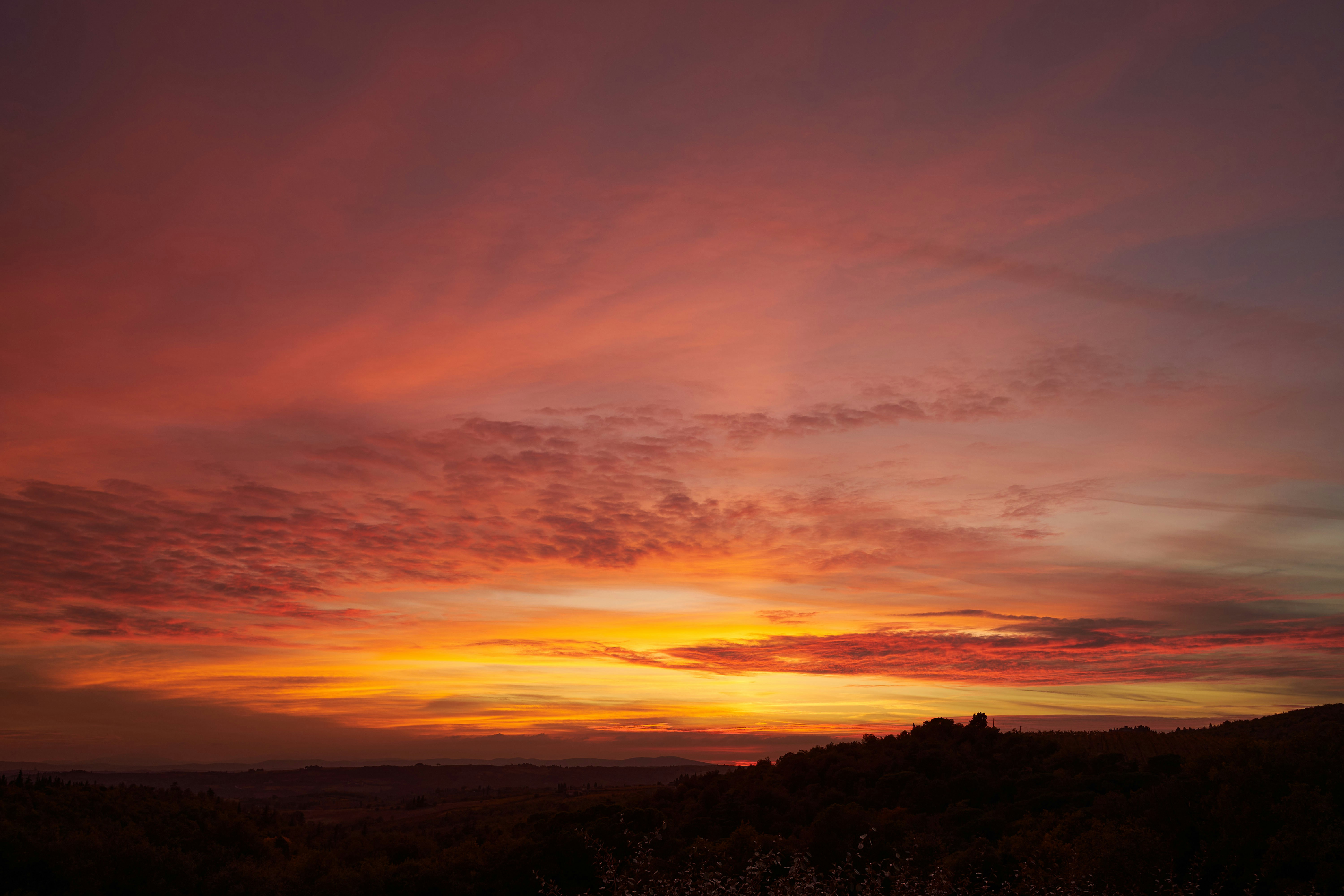 Photo by wolfgang_hasselmann