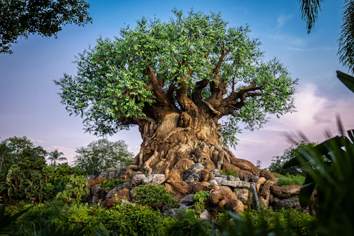 the tree of life at disney's animal kingdom