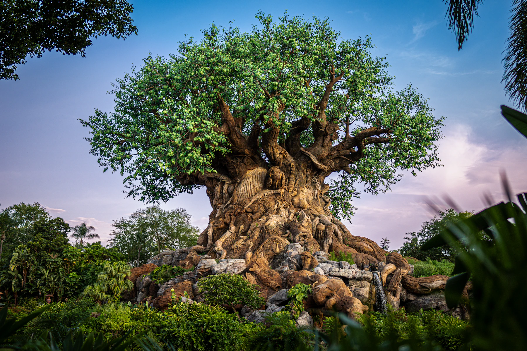The Tree of Life at Disney's Animal Kingdom