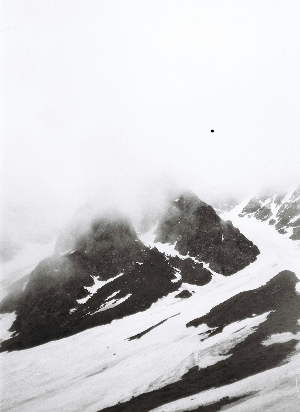 a bird flying over a snow covered mountain