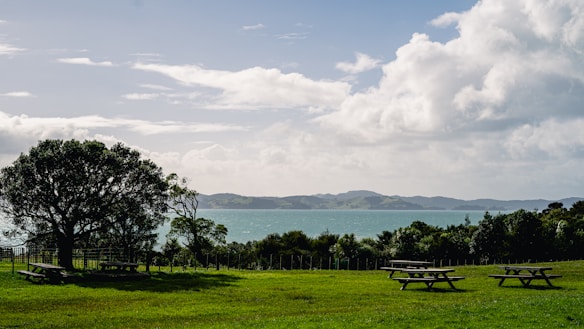 A serene landscape featuring a grassy field with several wooden picnic tables scattered across the area. A large leafy tree stands prominently on the left, providing shade. Beyond the field, a body of water stretches toward distant rolling hills under a partly cloudy sky.