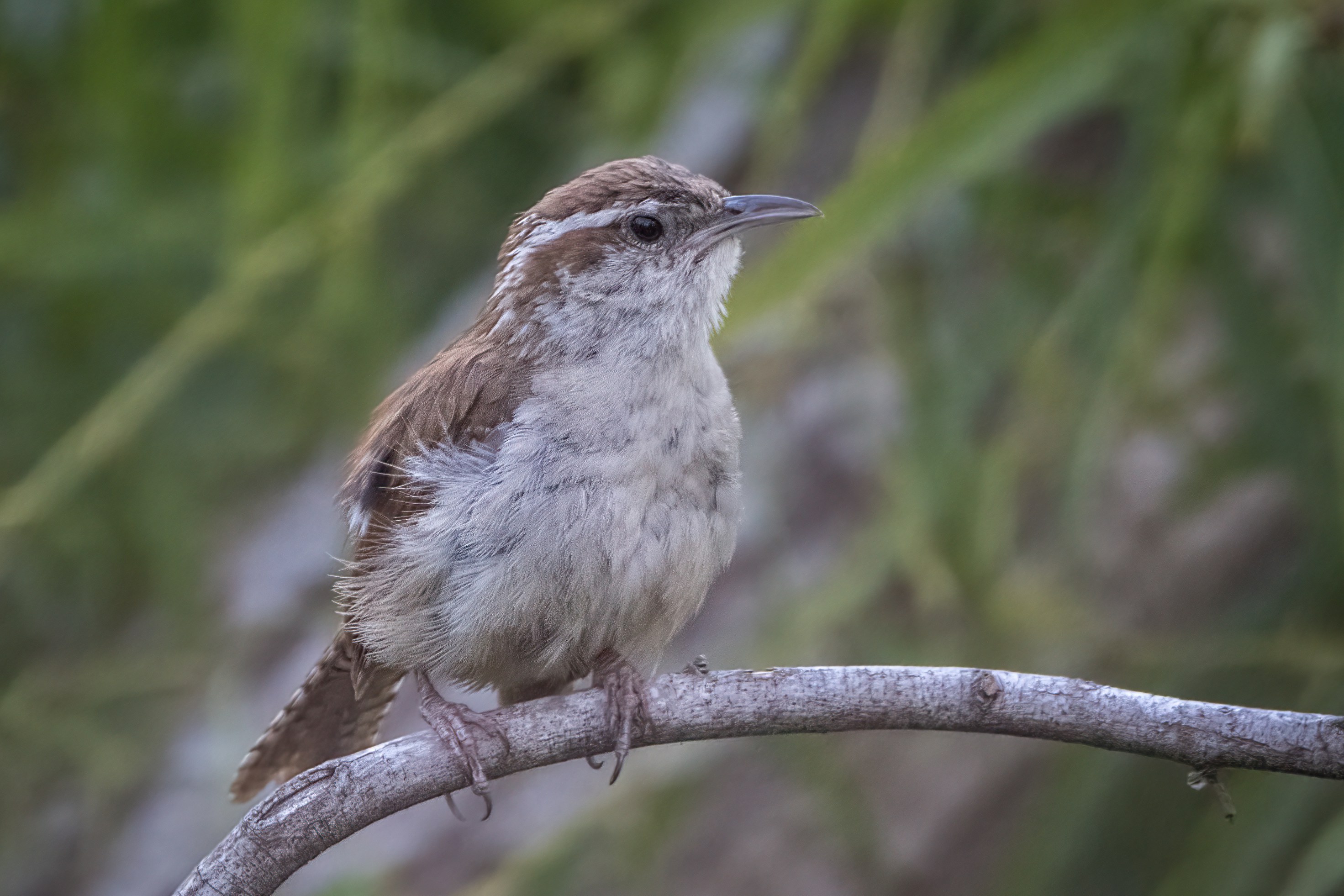 Photo by tracminhvu