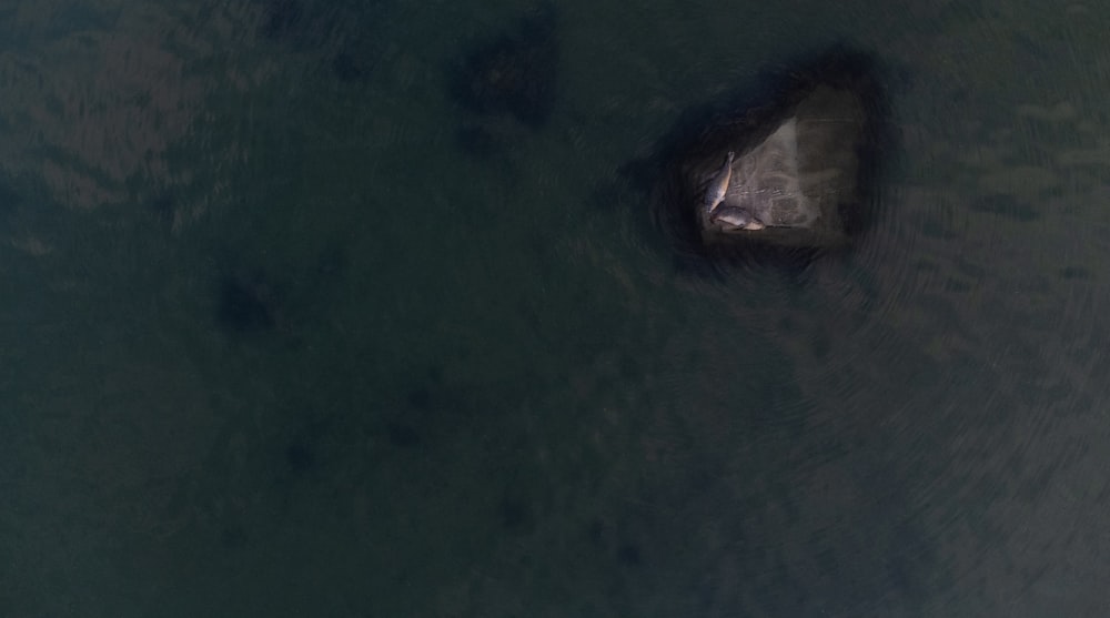 a rock in the middle of a body of water