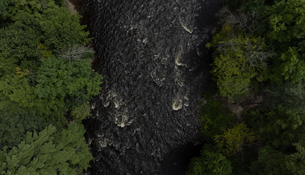 an aerial view of a river running through a forest