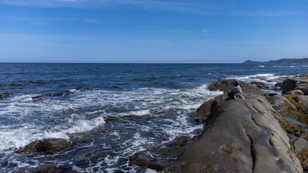 a bird sitting on a rock next to the ocean