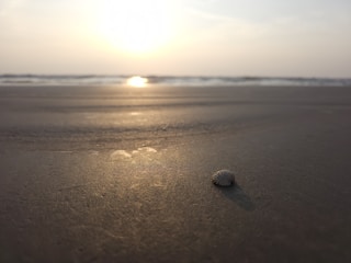A serene beachfront villa bathed in warm sunset light with seashell decorations.