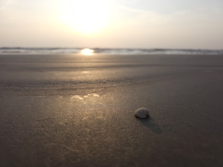 A serene beachfront villa bathed in warm sunset light with seashell decorations.