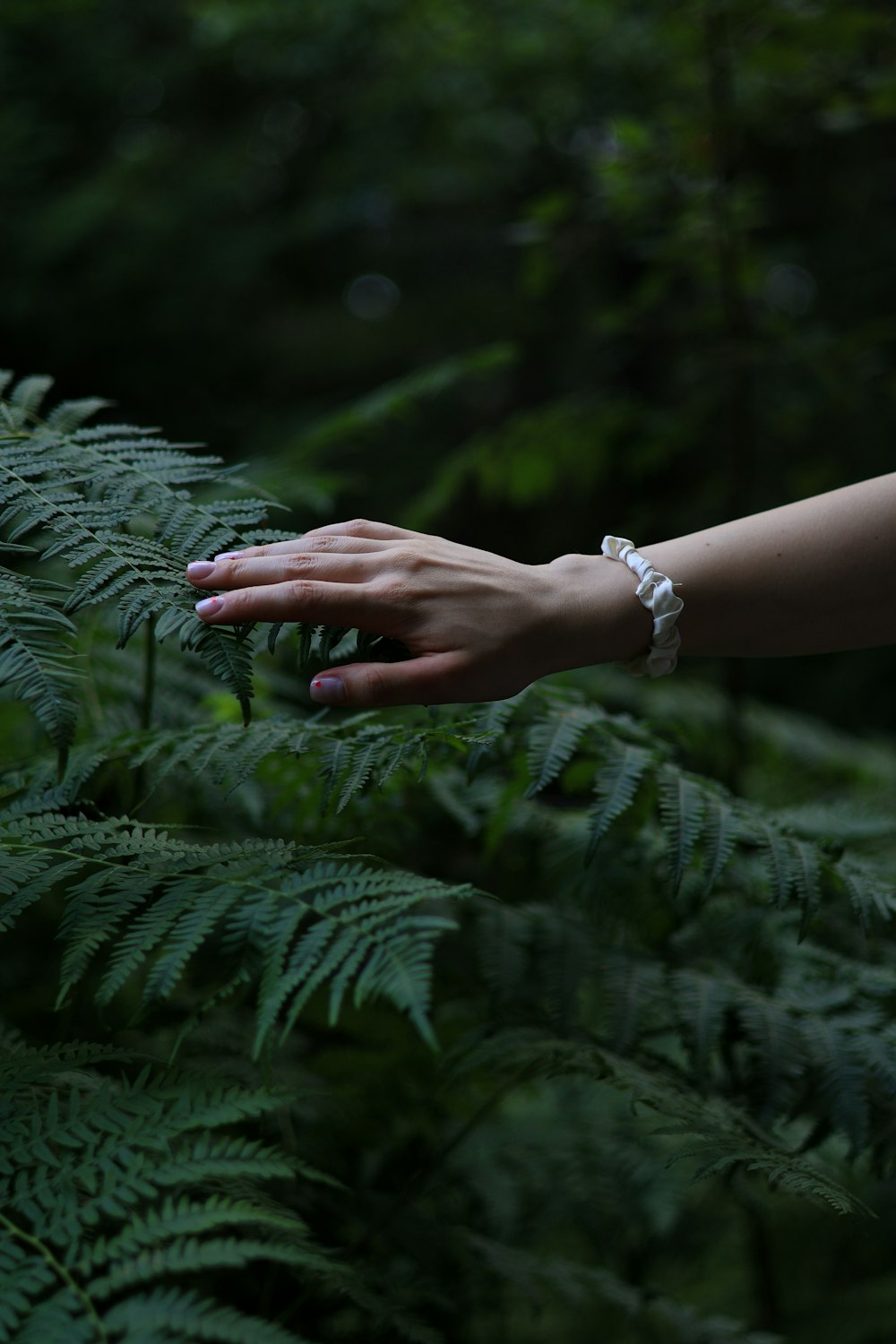 a woman's hand reaching for a plant in a forest