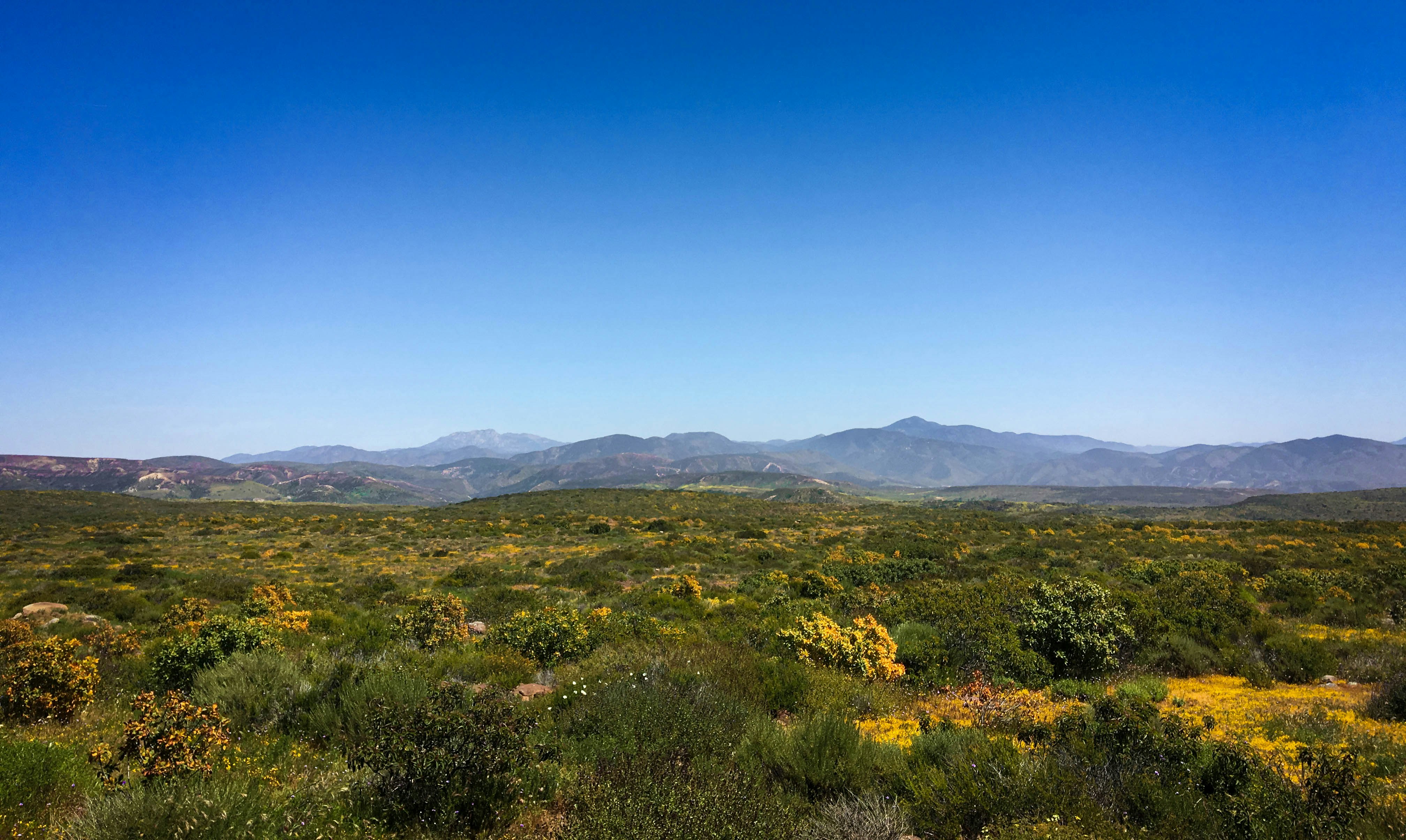 Budget Travel Guide to Tshiame (2026)