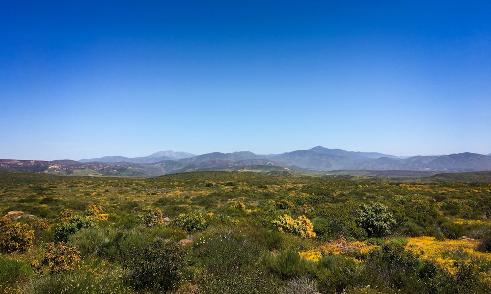 a scenic view of mountains in the distance