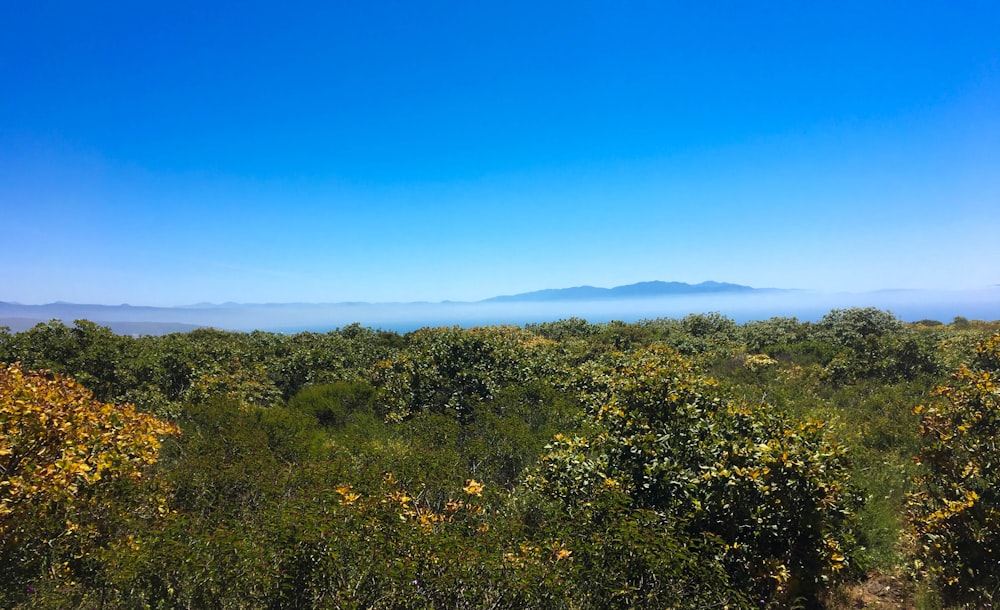 a view of a mountain range from a distance