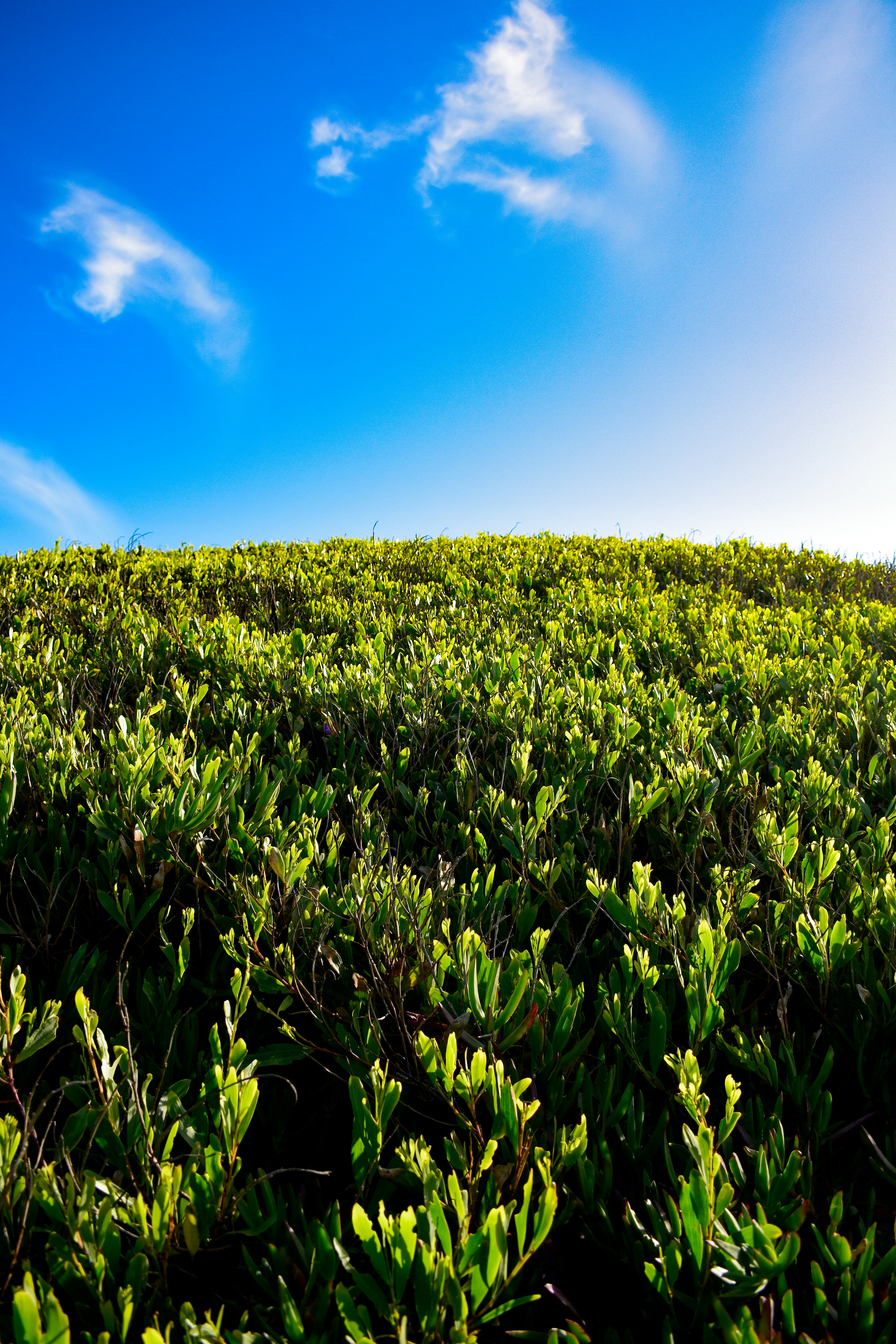 Productos ecológicos para cultivos