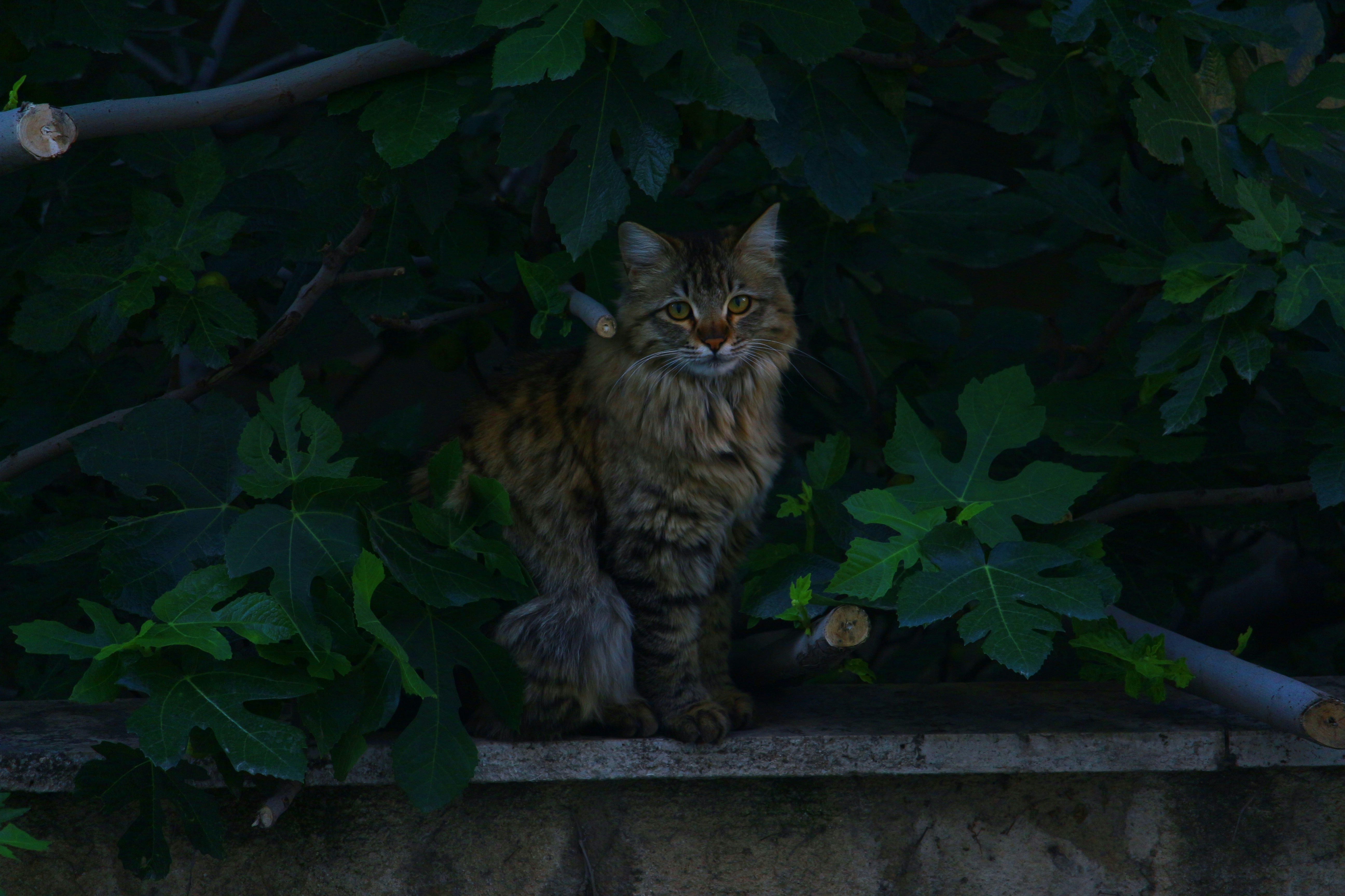 Photo by farid_karimi