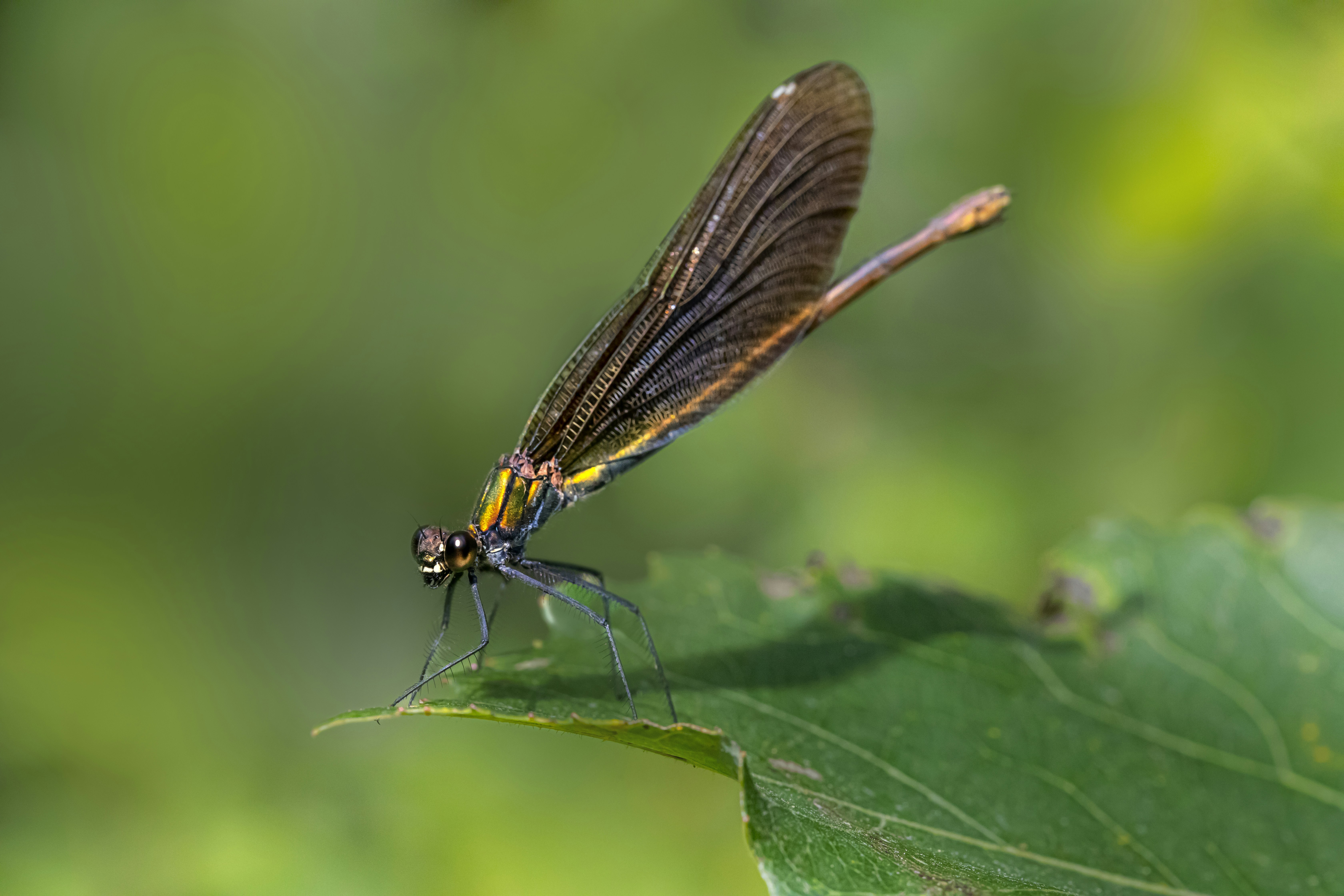 Photo by erik_karits