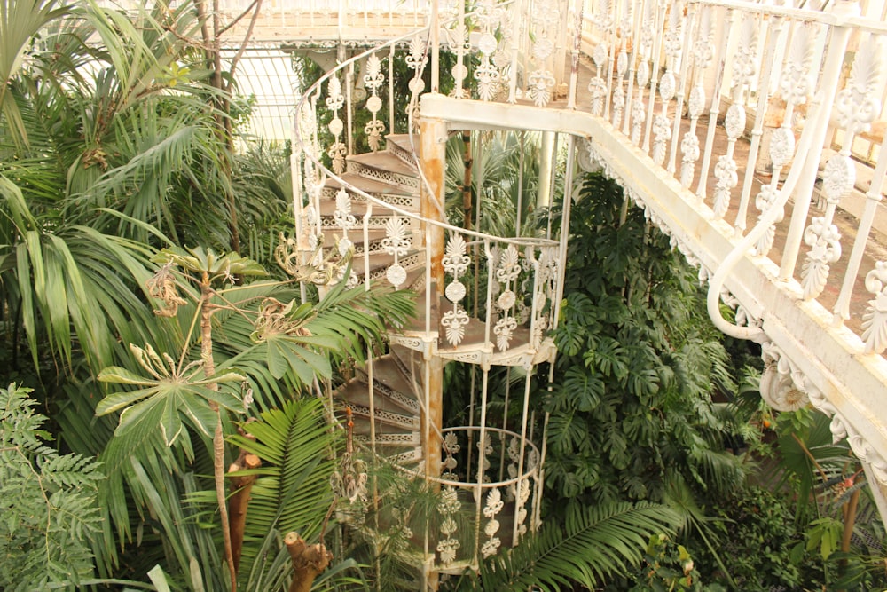 a spiral staircase in a garden with lots of plants