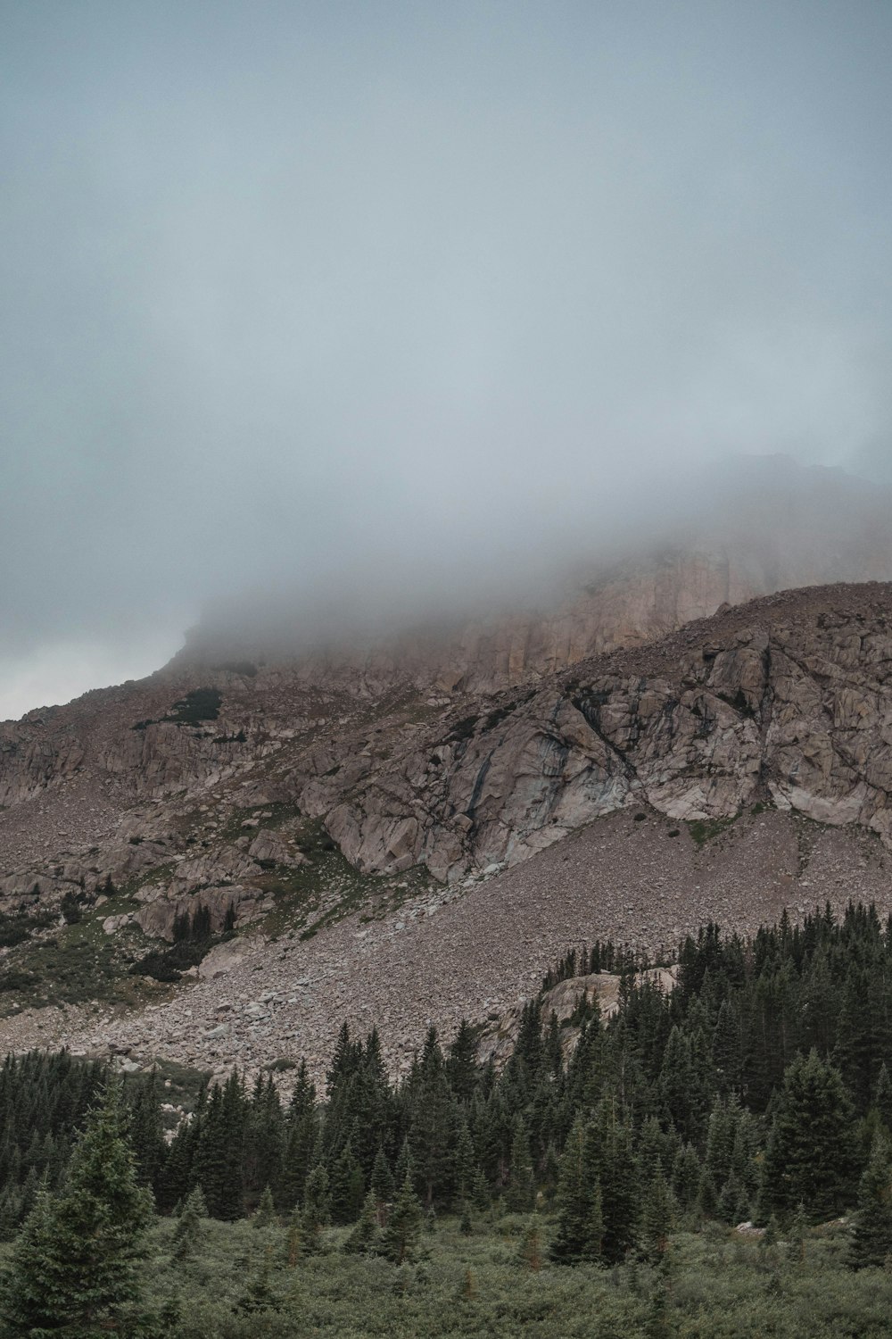 a mountain covered in fog with trees on the side