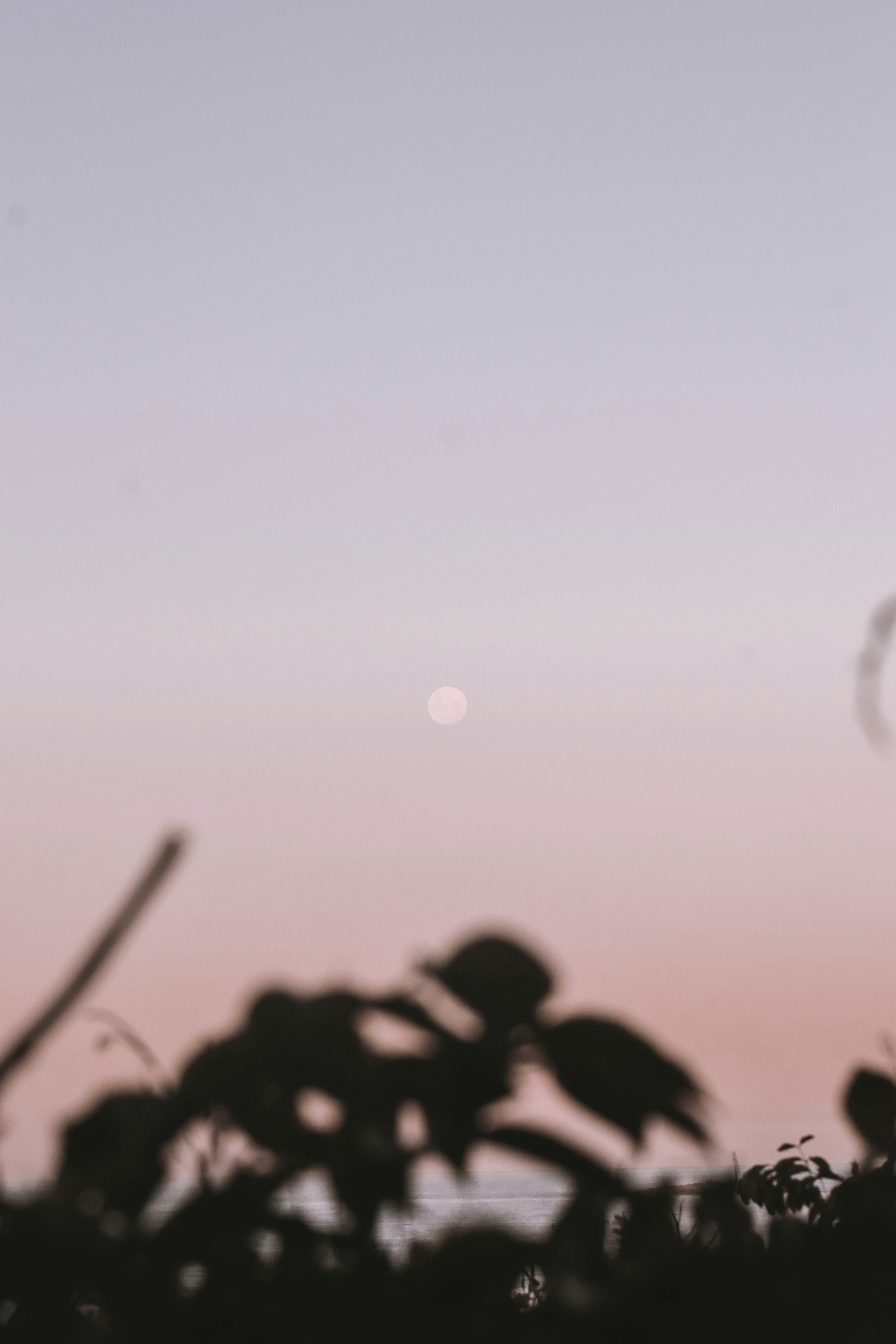 Photo by archiecarlson