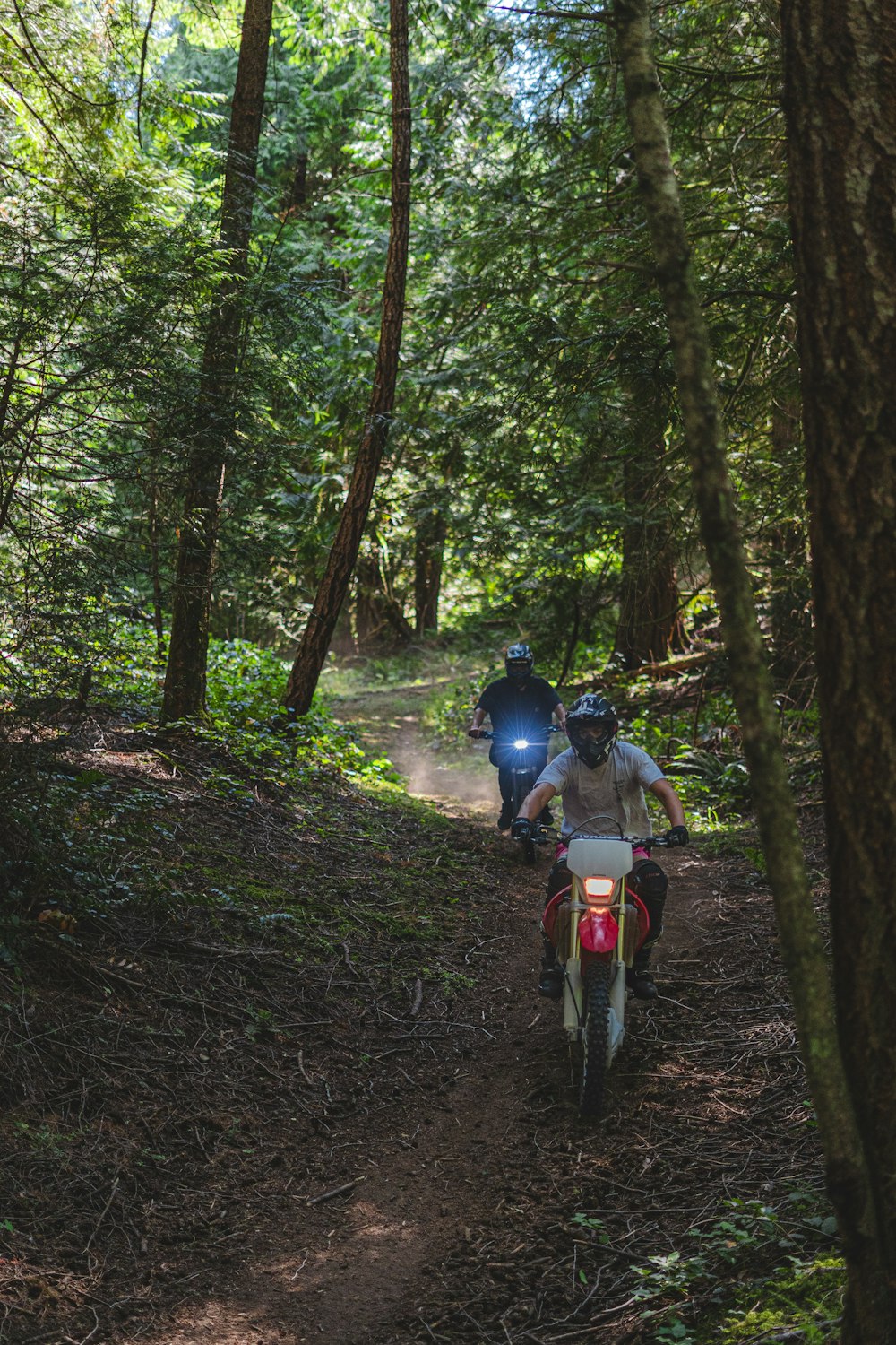 Un homme sur une moto hors route sur un sentier forestier