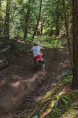 A rider on a dirt bike navigating a forest trail with sunlight filtering through trees.